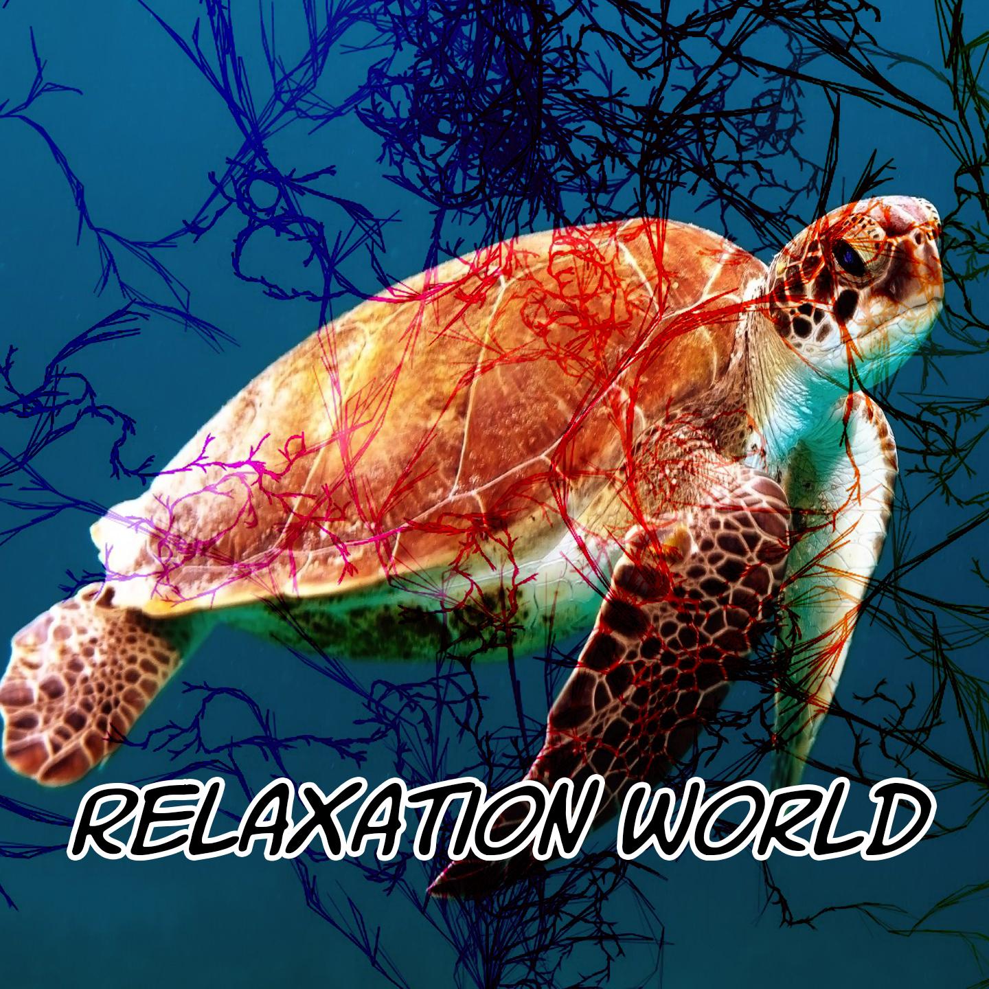 Relaxation World