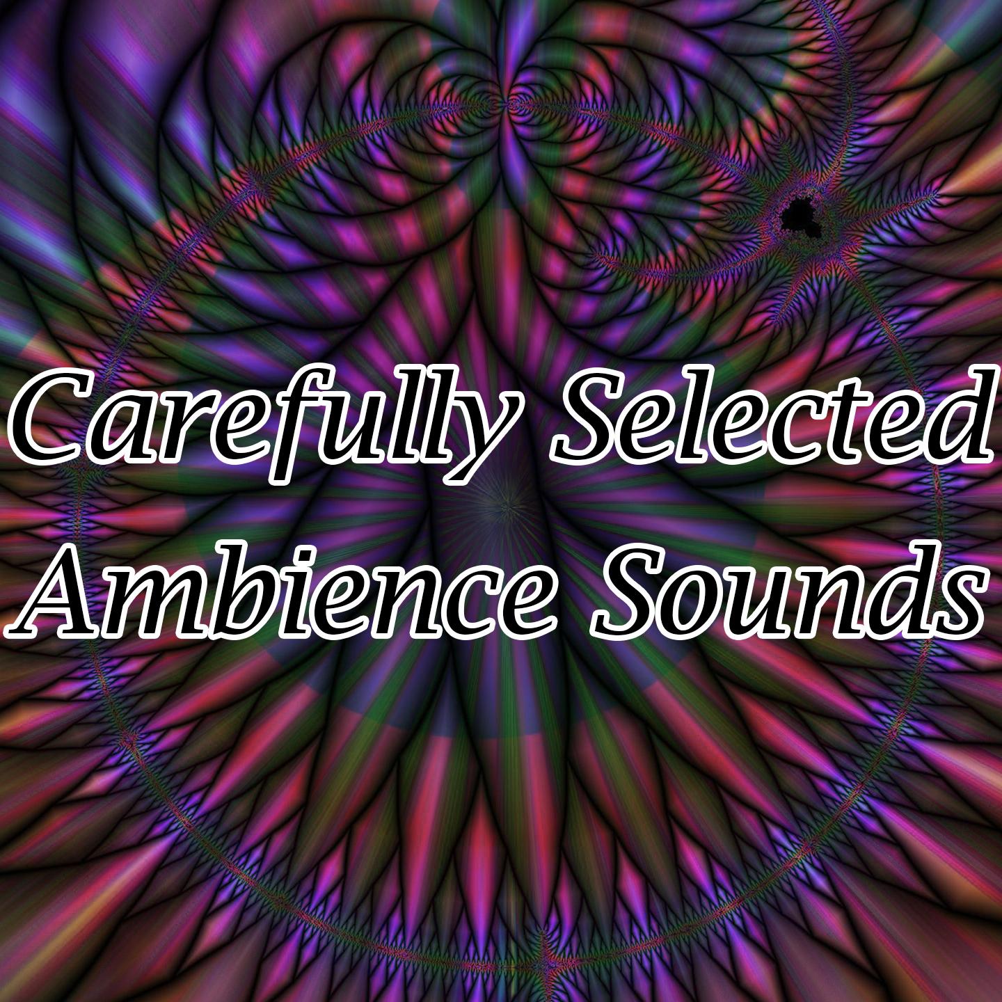 Carefully Selected Ambience Sounds