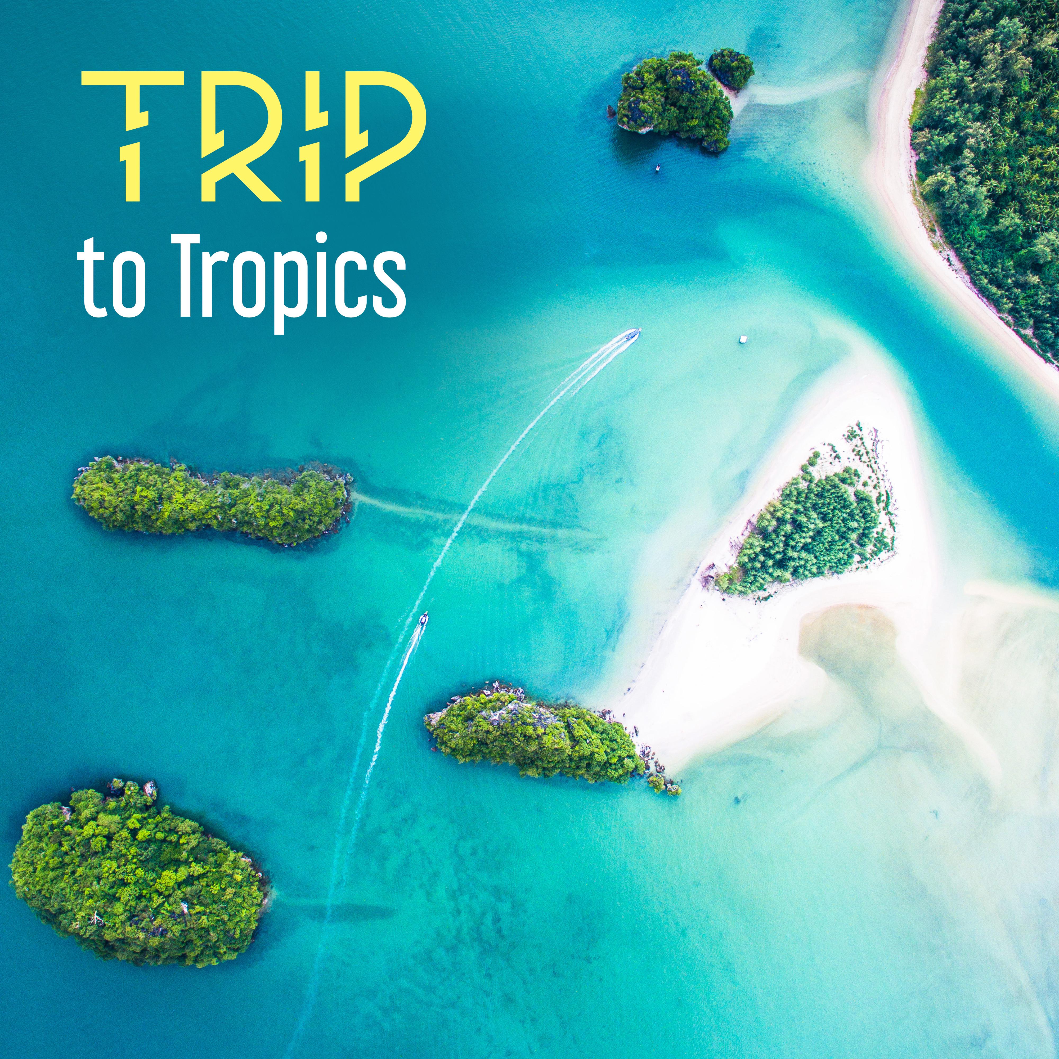 Trip to Tropics – Holiday Chill Out Music, Summertime, Sun, Beach, Sand, Relax Under Palms, Relaxation, Tropical Lounge