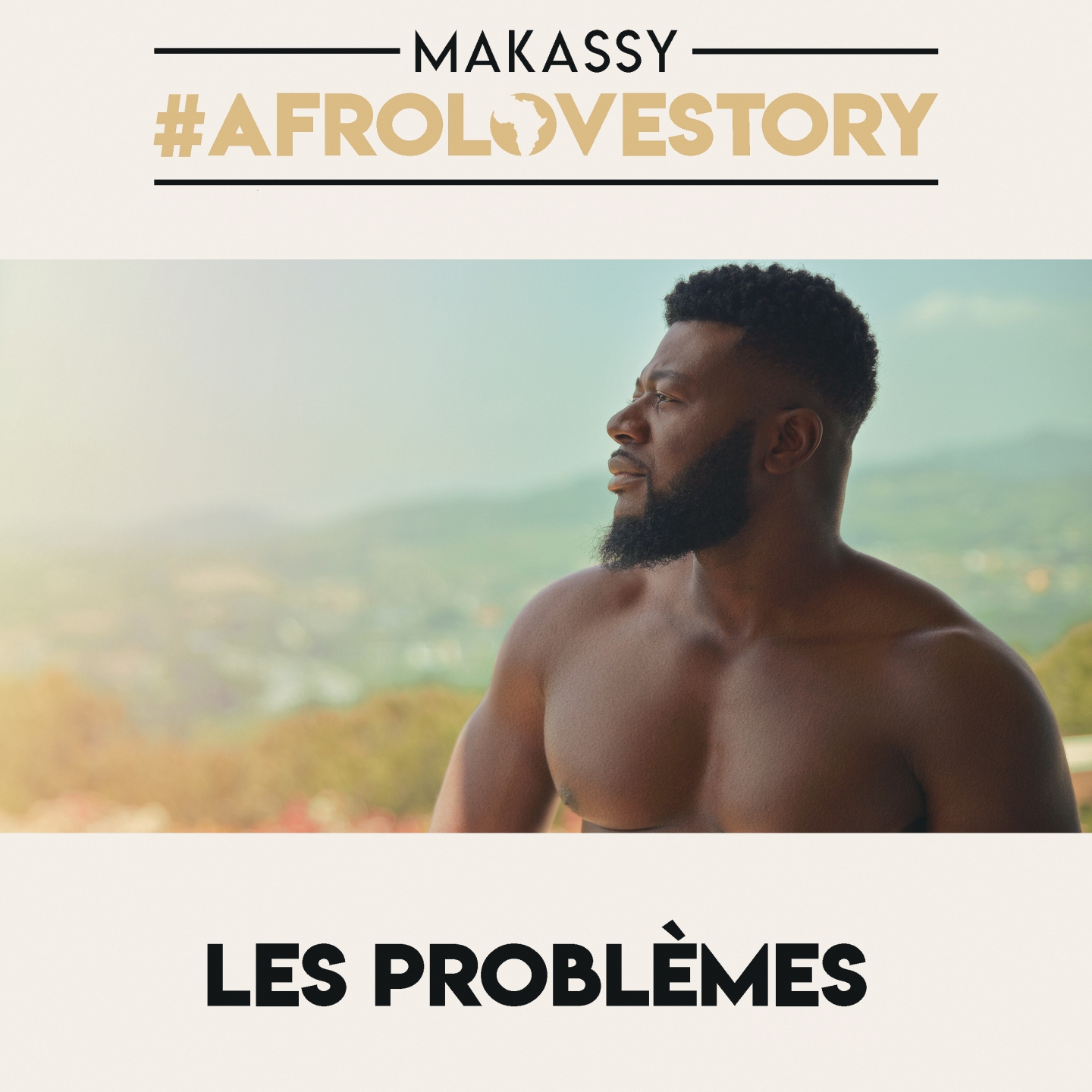 Les problèmes (#Afrolovestory)