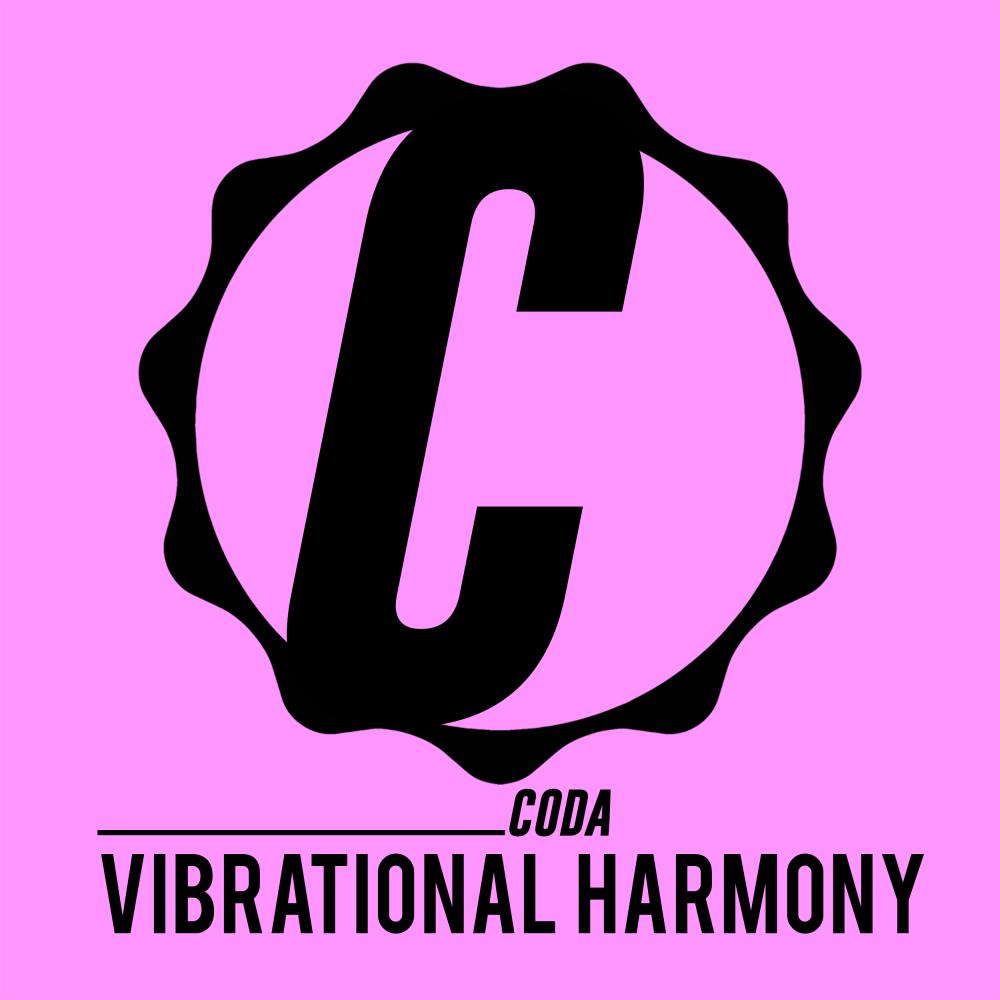 Vibrational Harmony (Original Mix)