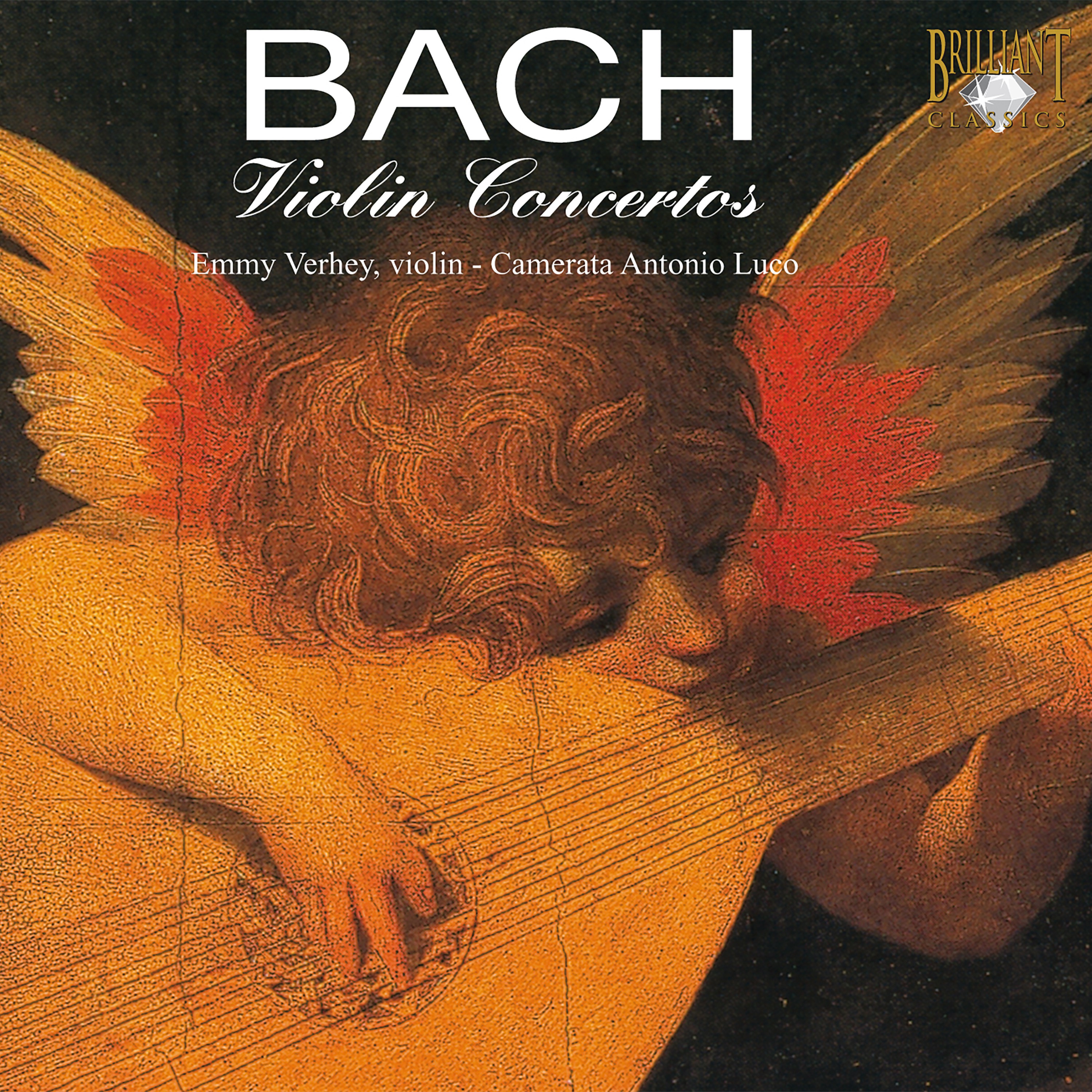 Violin Concerto in E Major, BWV 1042: Adagio