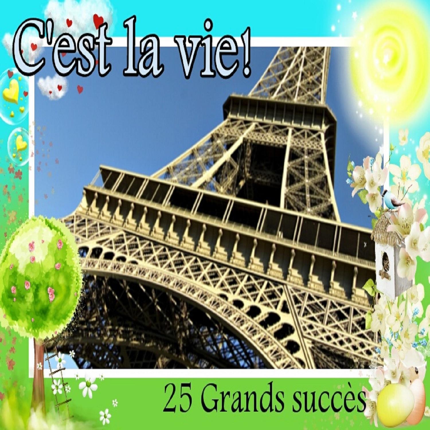 C'est la vie! - 25 Grands succès