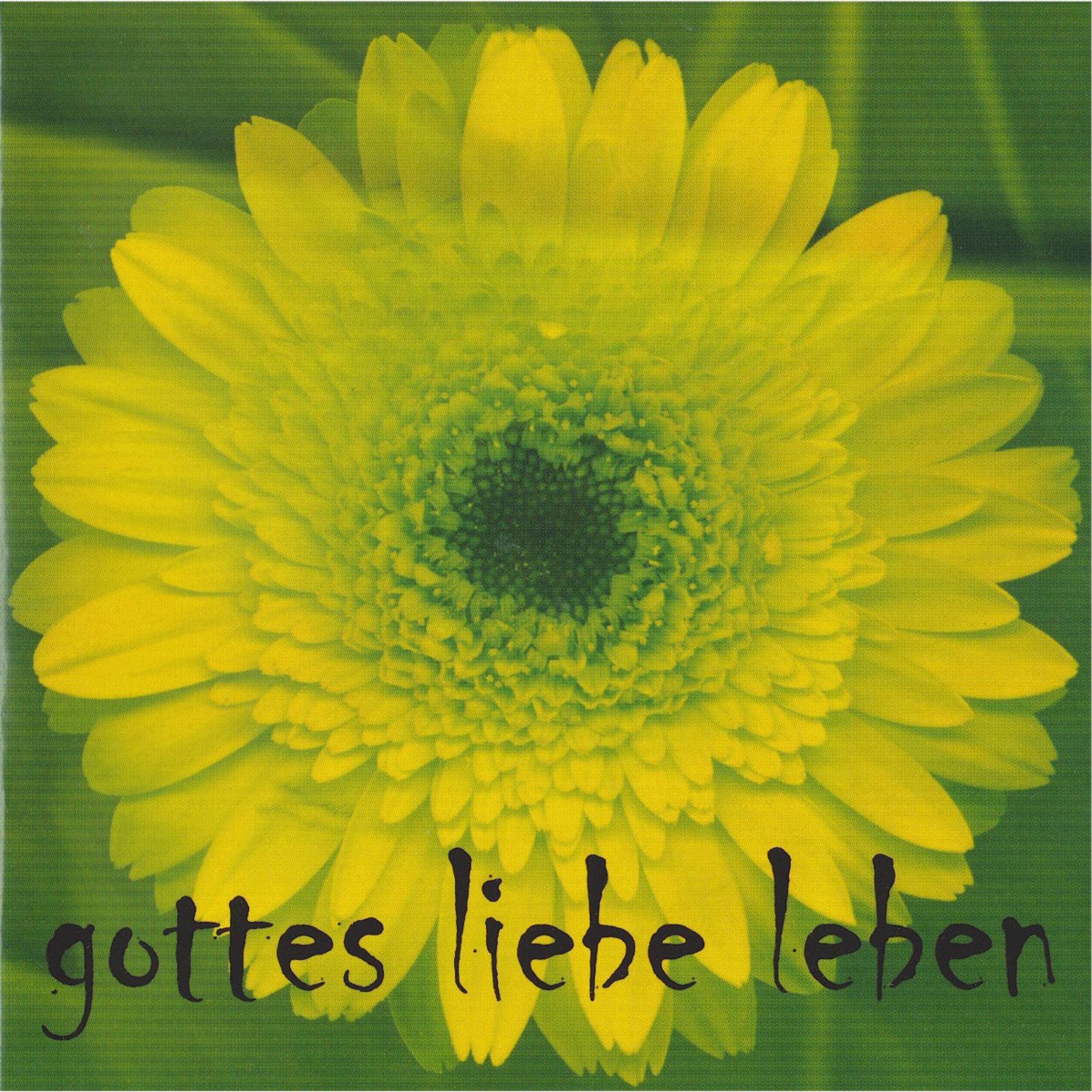 Gottes Liebe leben (Halbplayback)