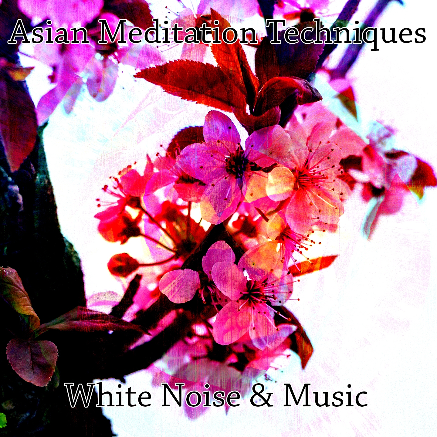 Asian Meditation Techniques White Noise & Music