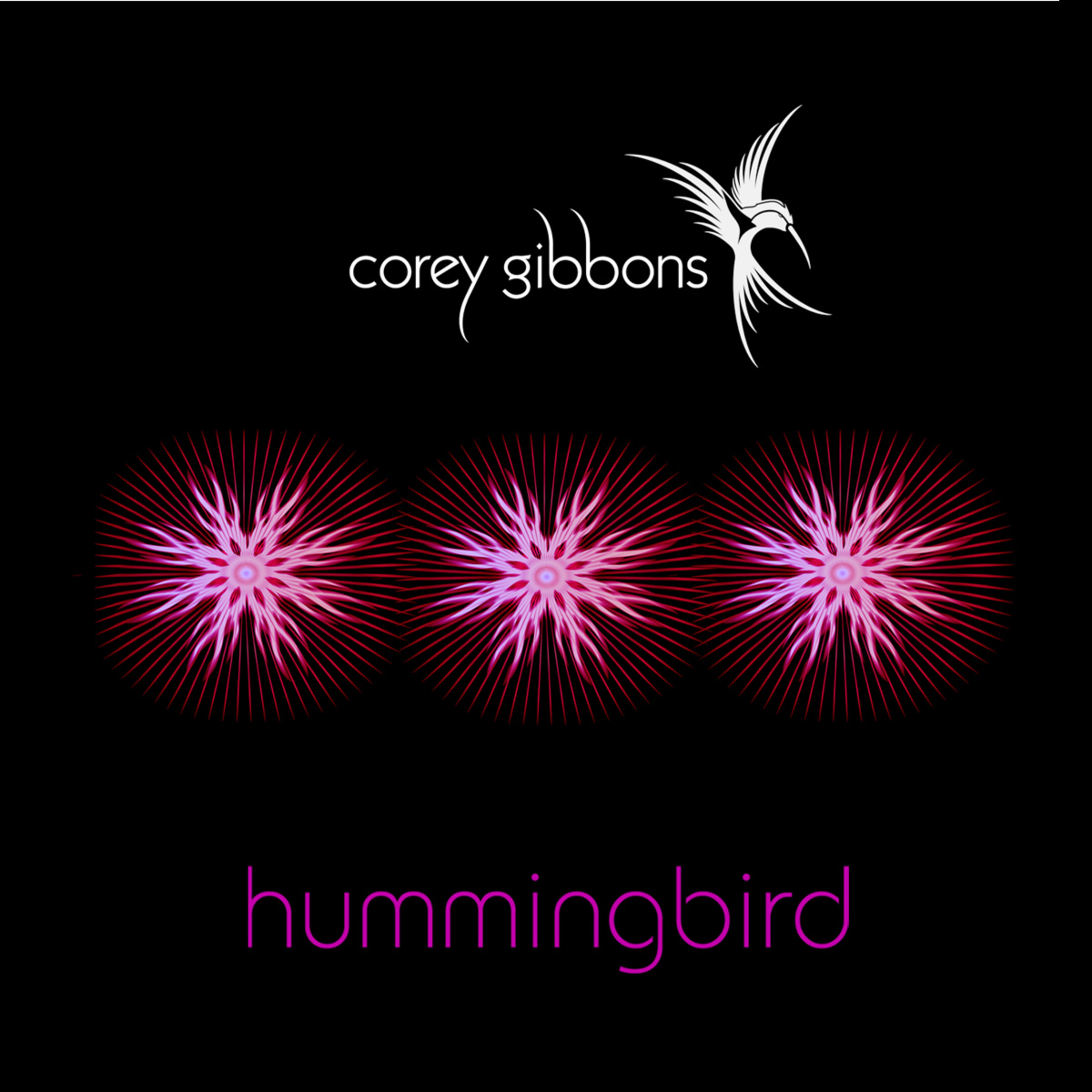 Hummingbird (Original)