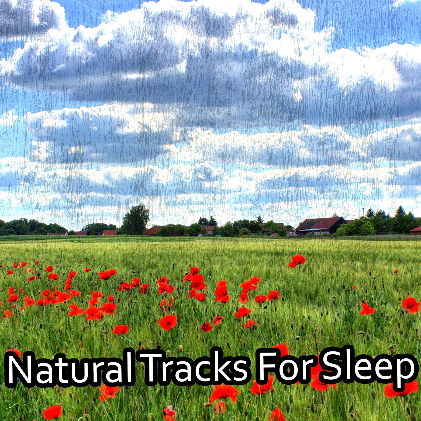 Natural Tracks For Sleep