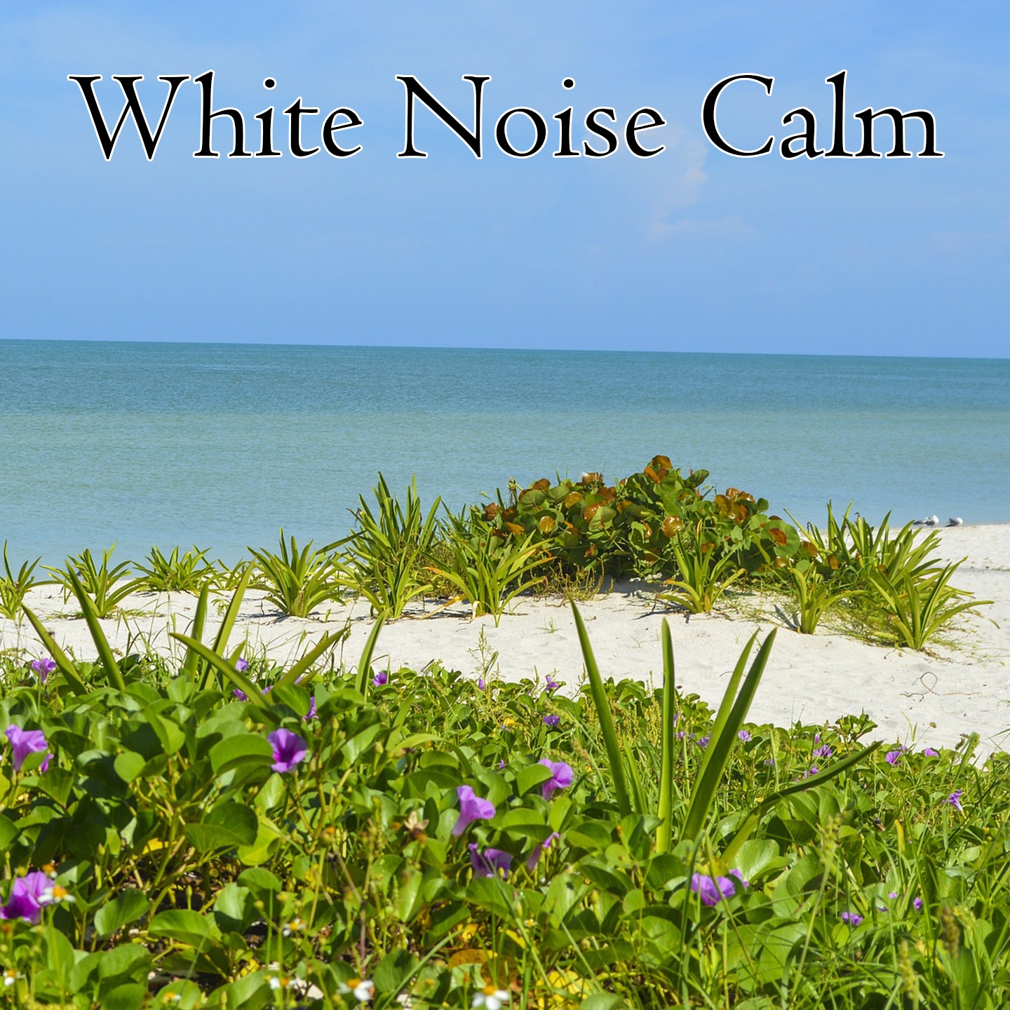 White Noise Calm