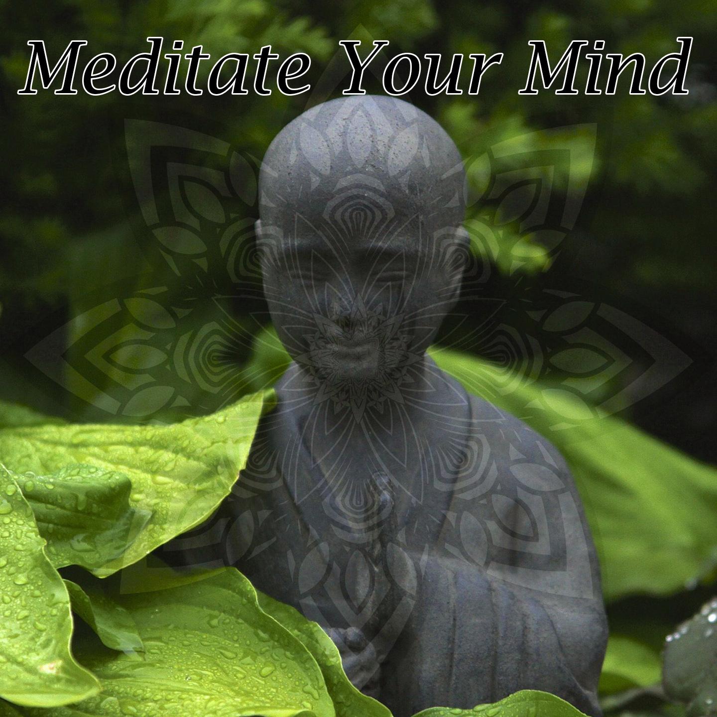 Meditate Your Mind