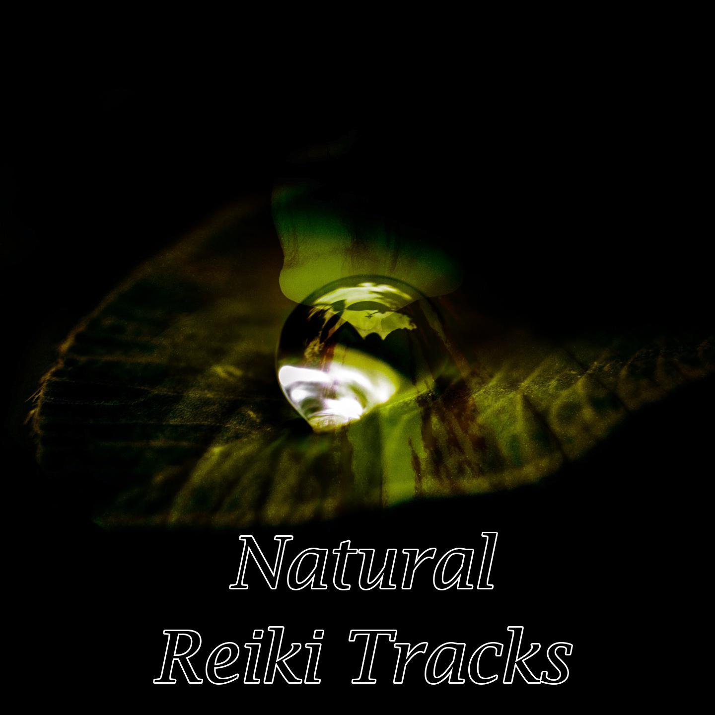 Natural Reiki Tracks