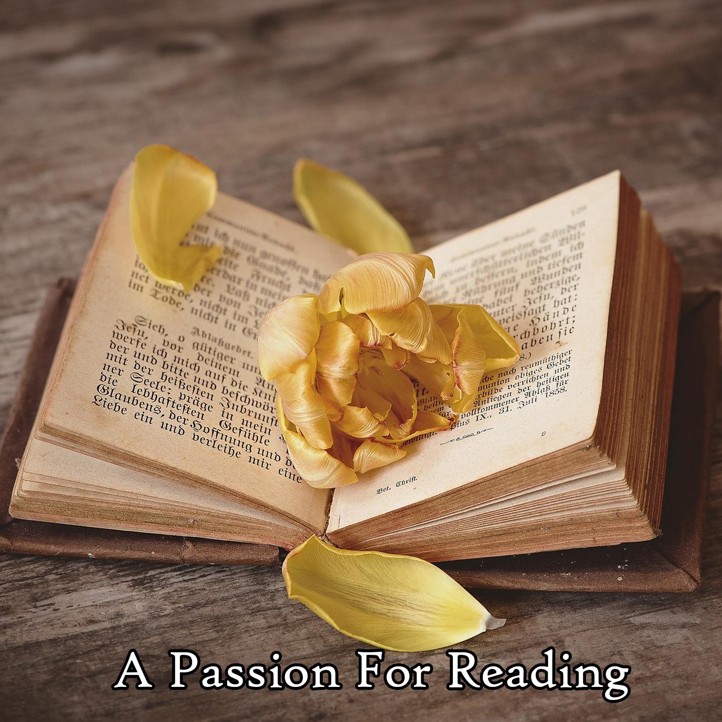 A Passion For Reading