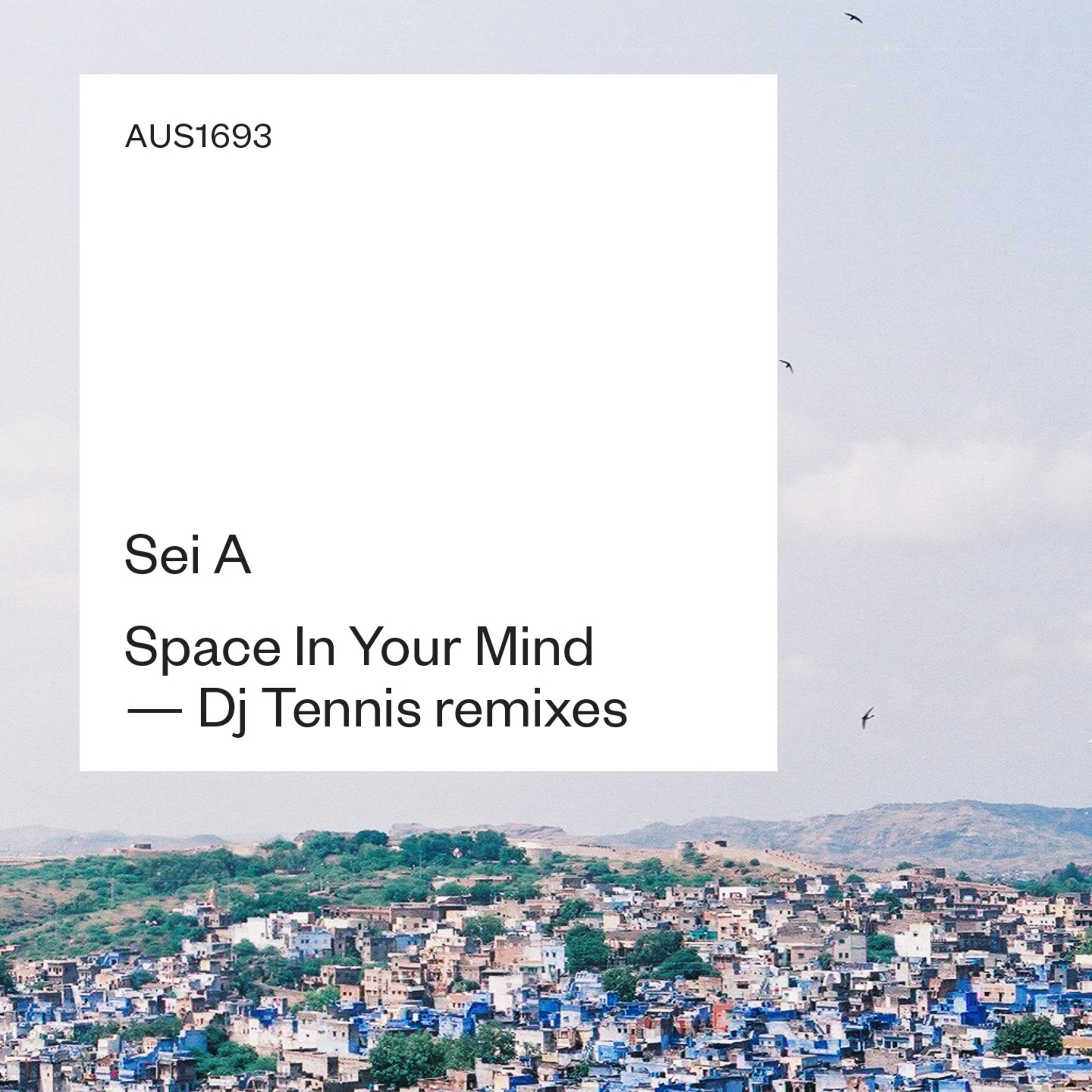 Space In Your Mind (DJ Tennis Remix)