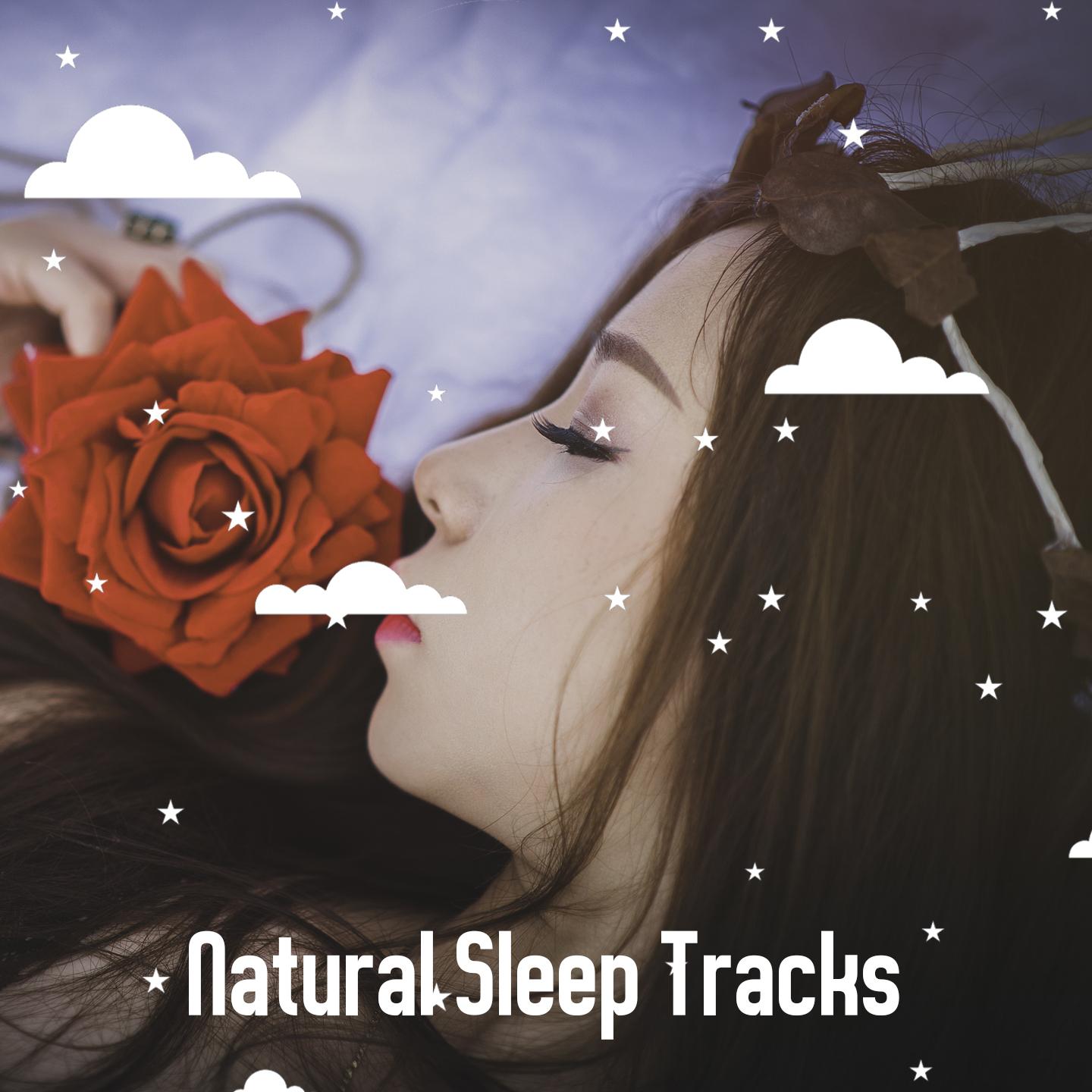 Natural Sleep Tracks