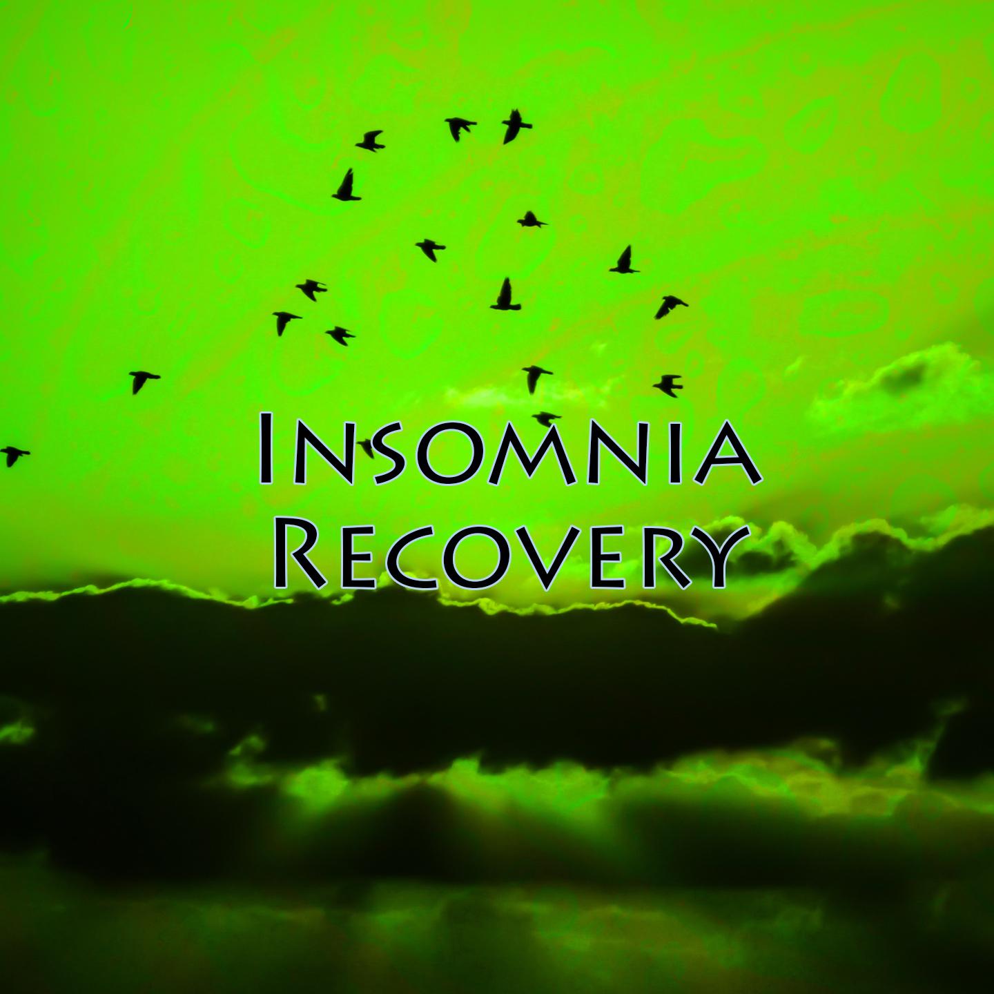 Insomnia Recovery