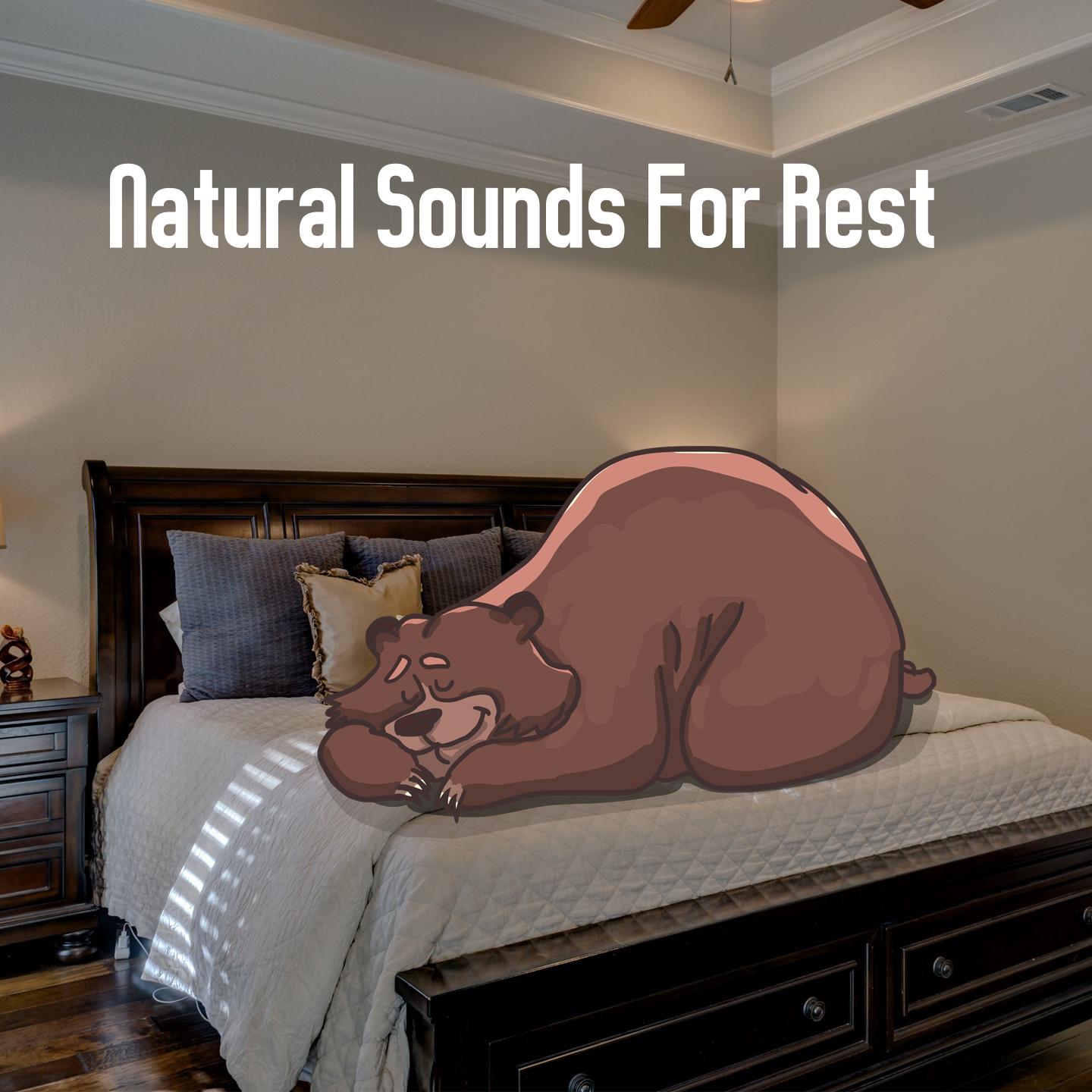Natural Sounds For Rest