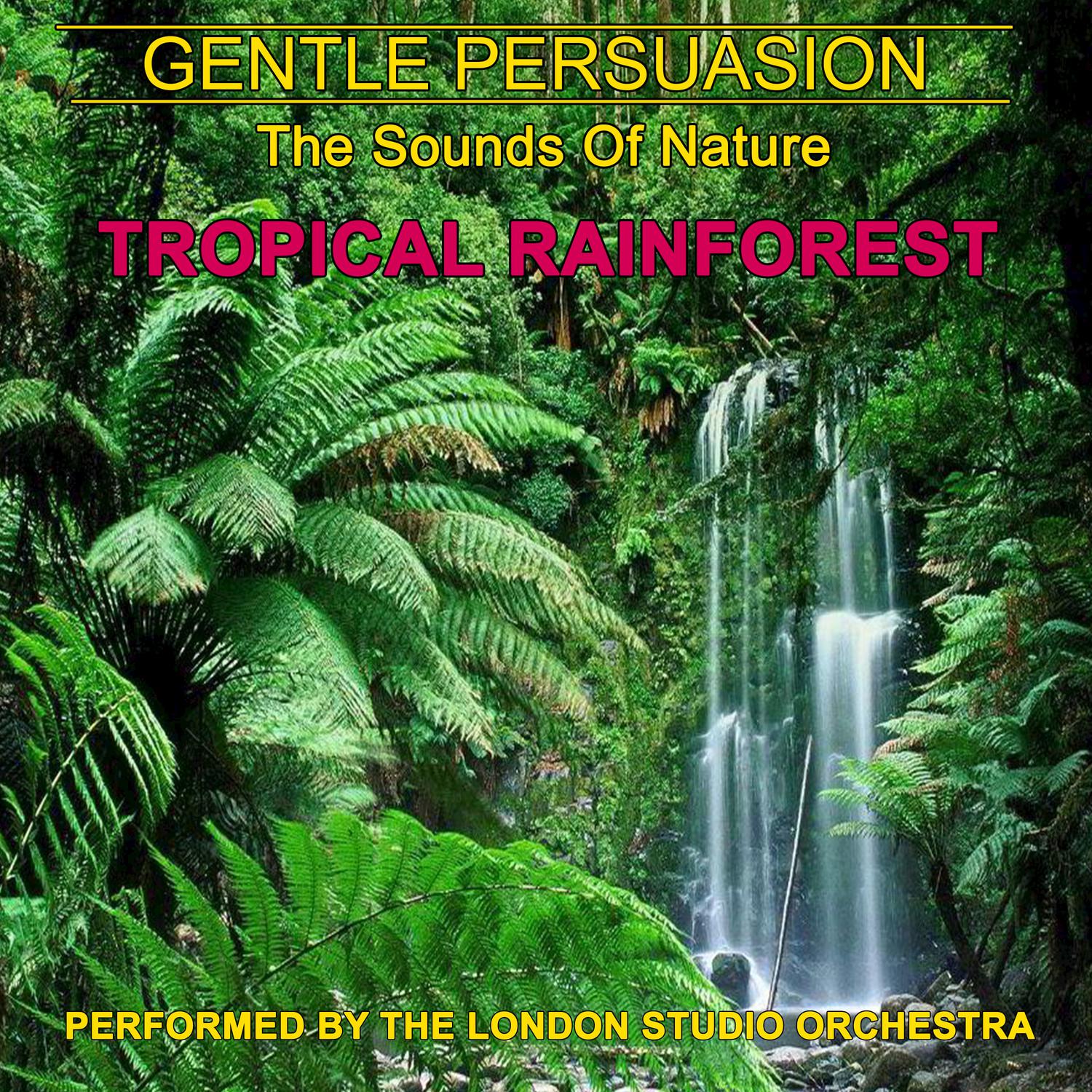 Tropical Rainforest (The Sounds Of Nature)