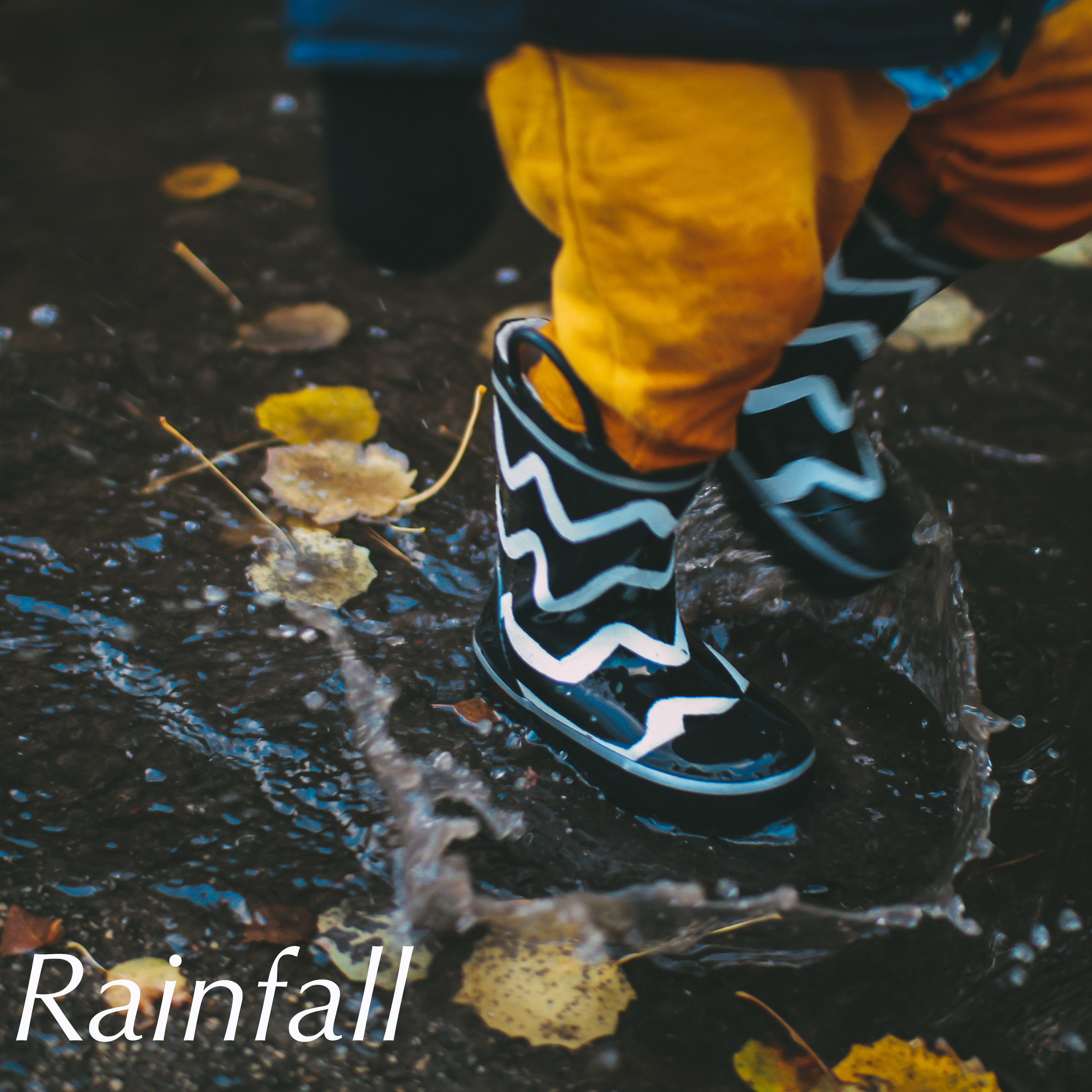 14 Rainfall Tracks - a Compiilation for Yoga and Meditation or Sleep