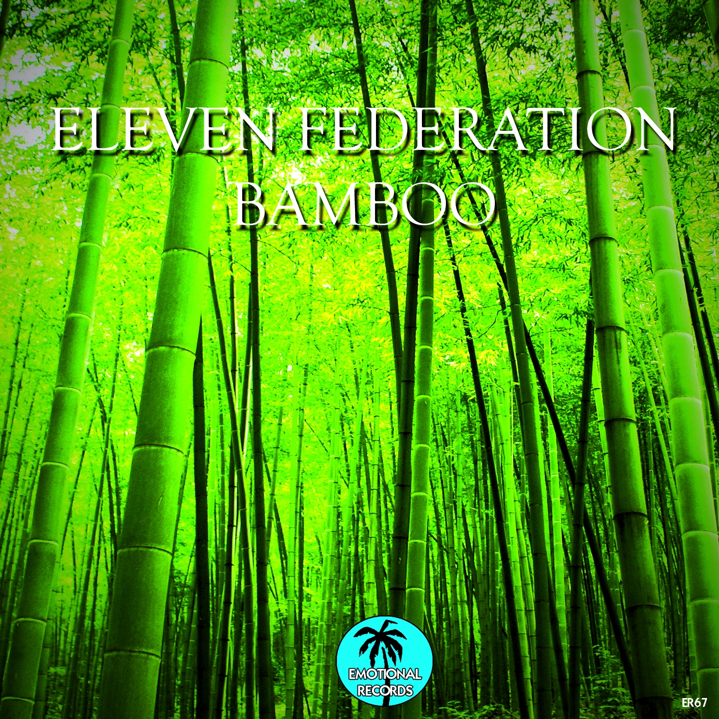 Bamboo