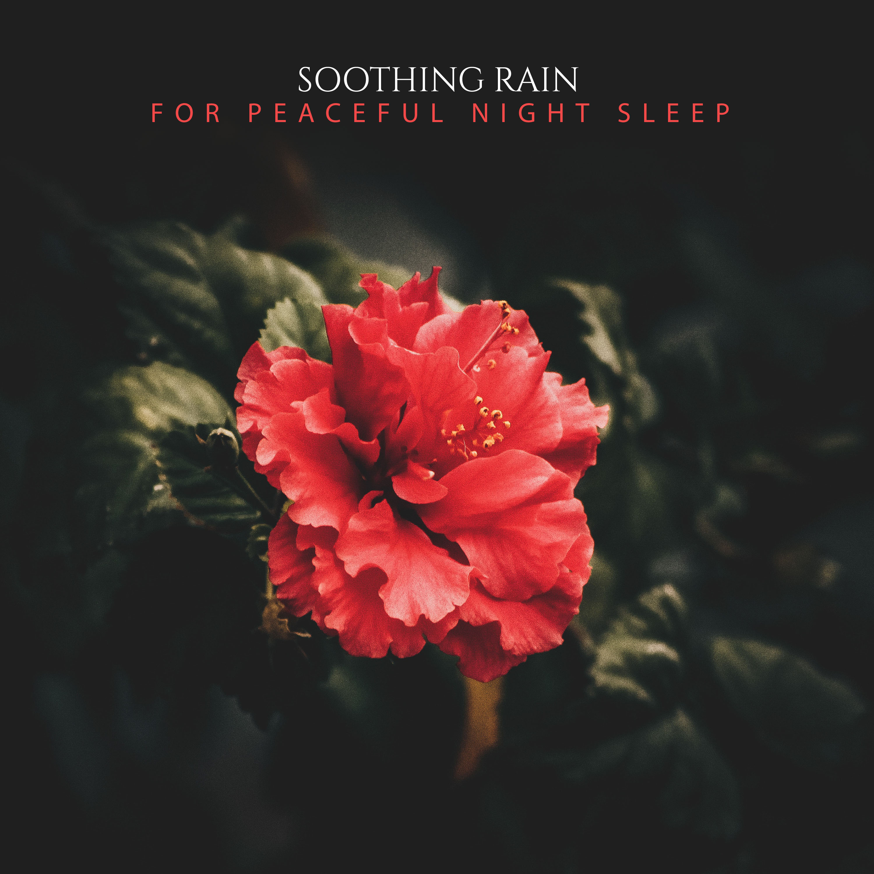 #16 Soothing Rain Album for Peaceful Night Sleep