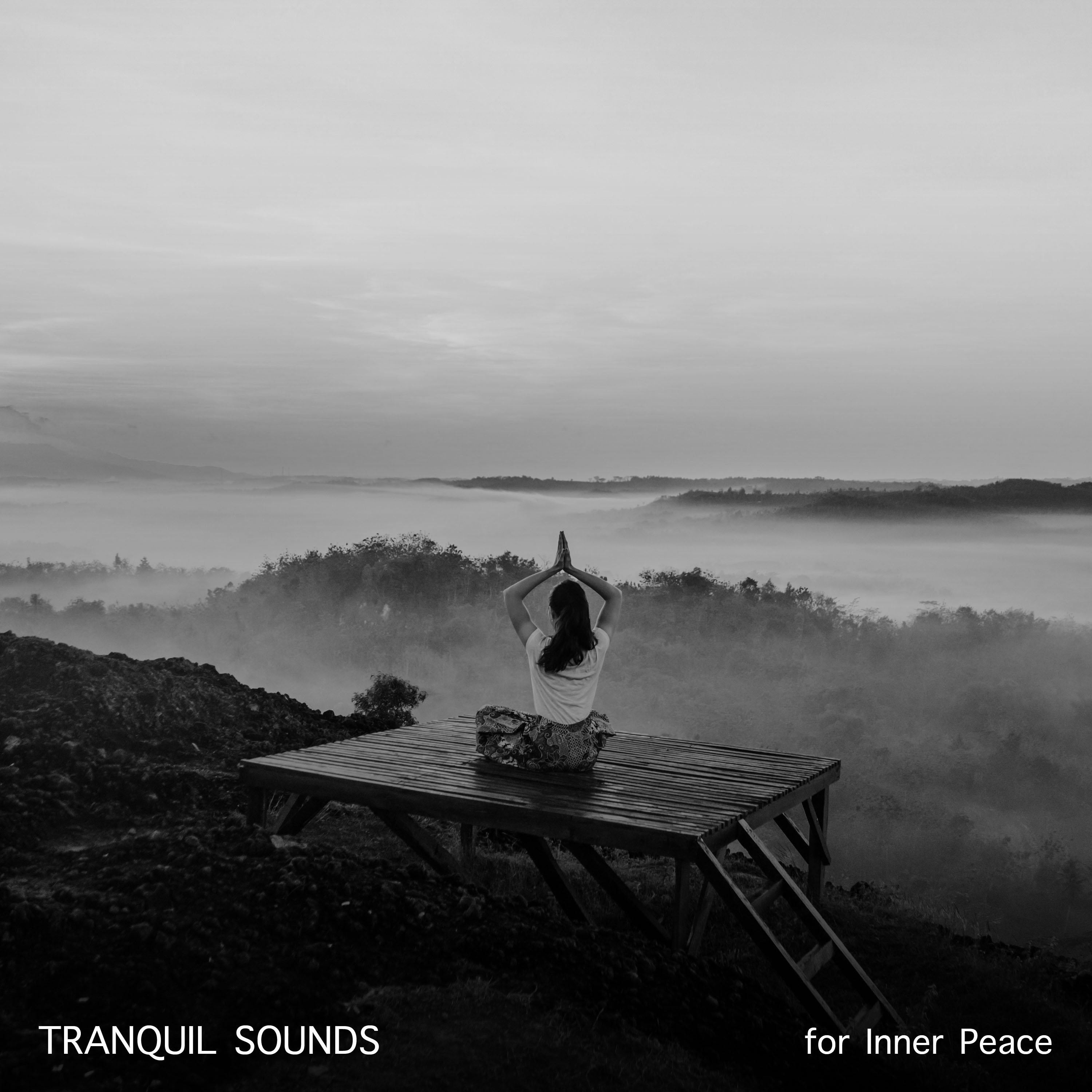 2018 Tranquil Sounds for Inner Peace