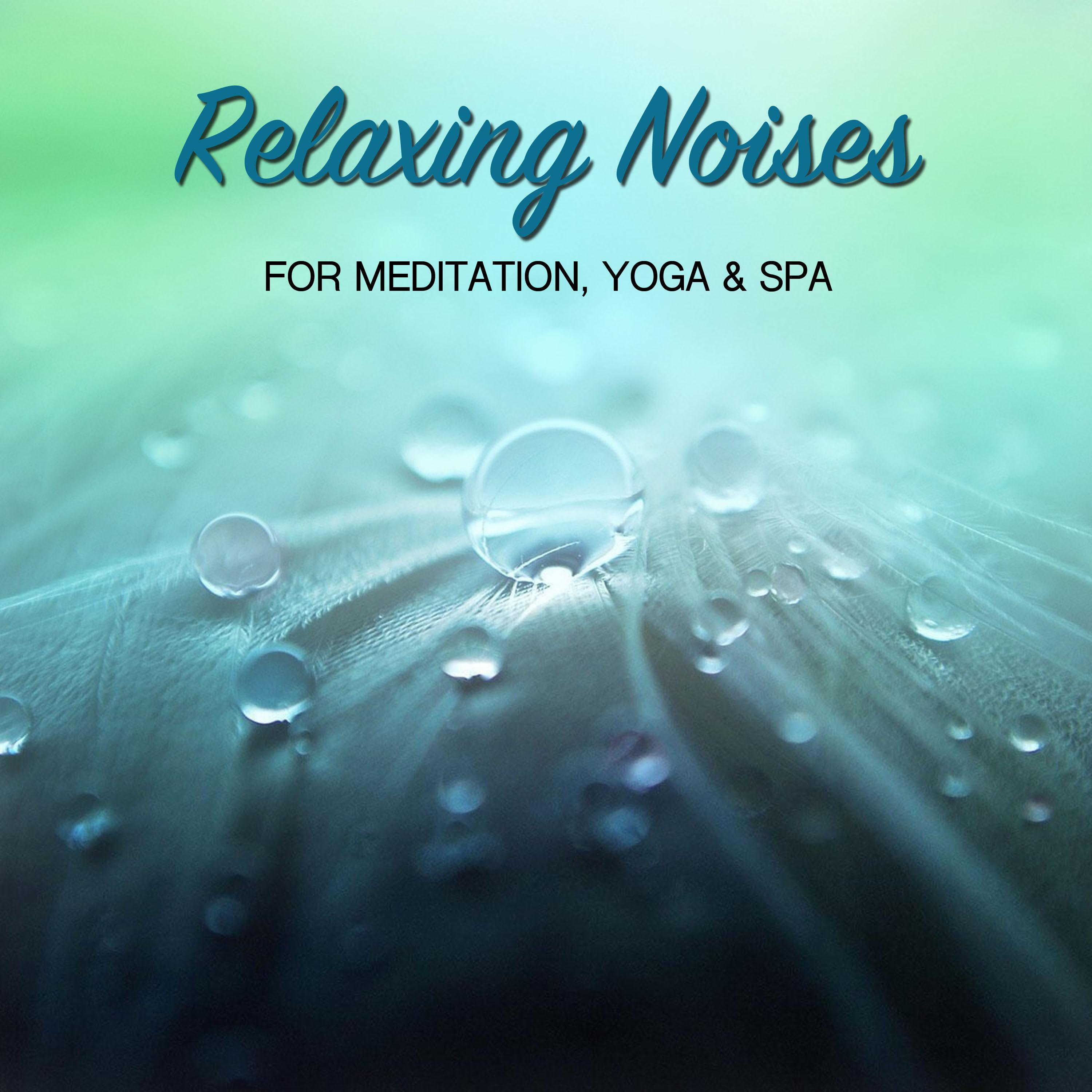 1 Hour Relaxing Noises for Meditation, Yoga & Spa