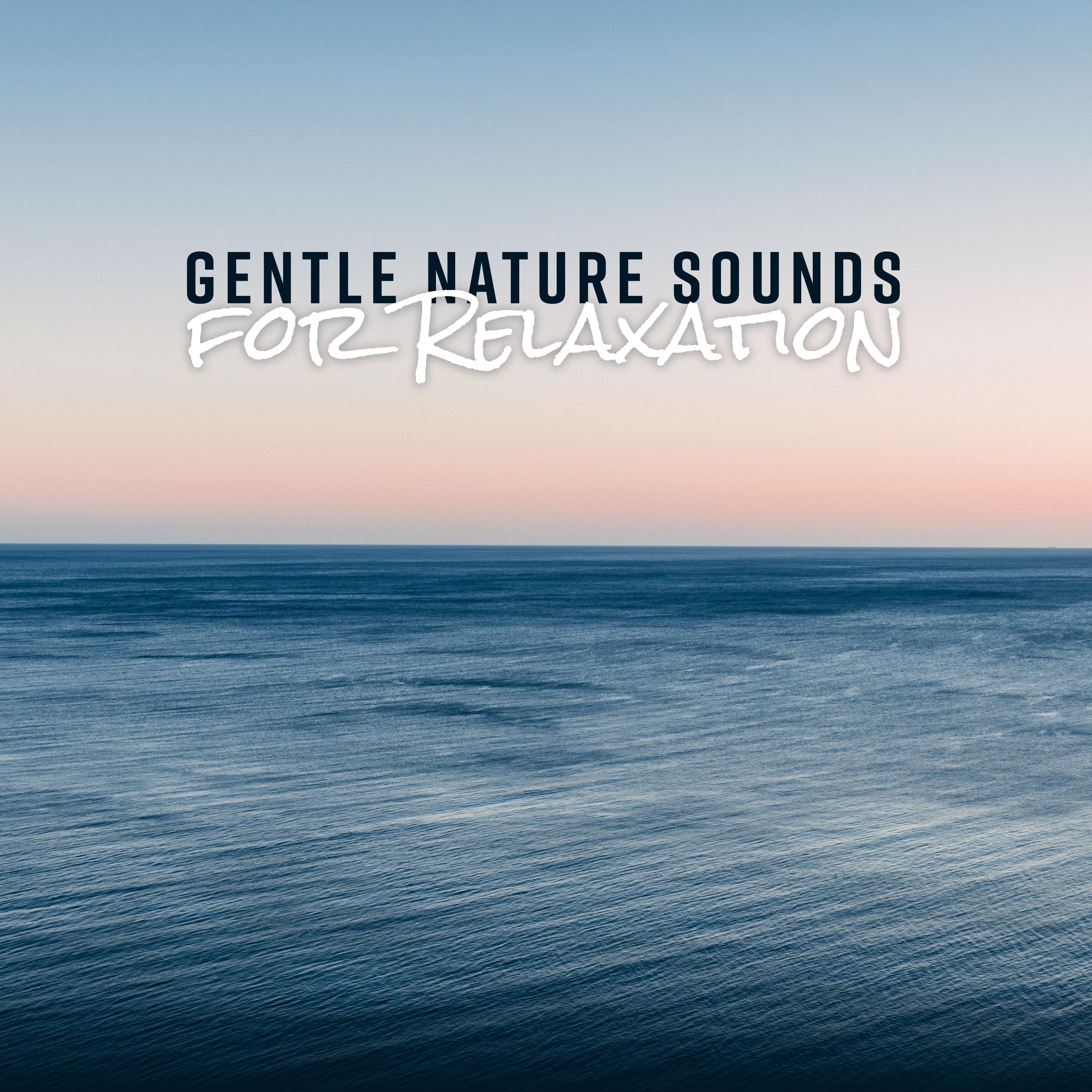 Gentle Nature Sounds for Relaxation