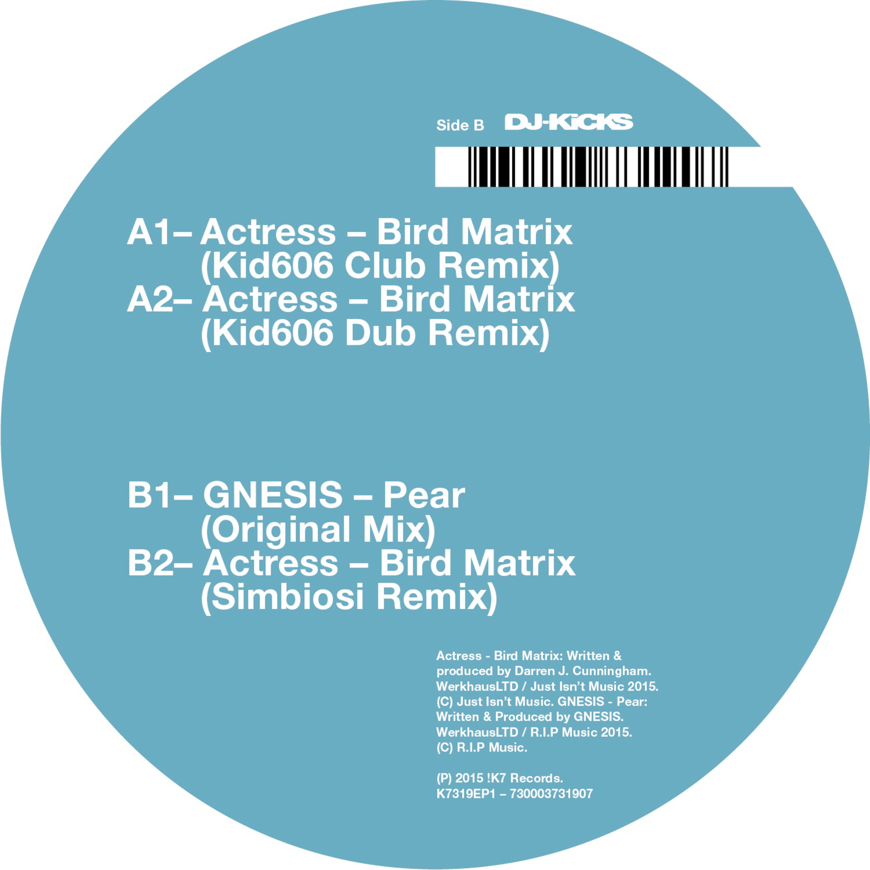 Bird Matrix (Kid606 Dub Remix)