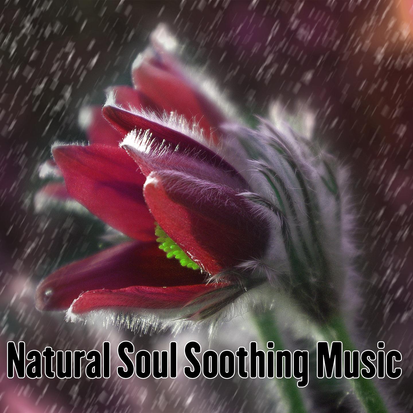 Natural Soul Soothing Music