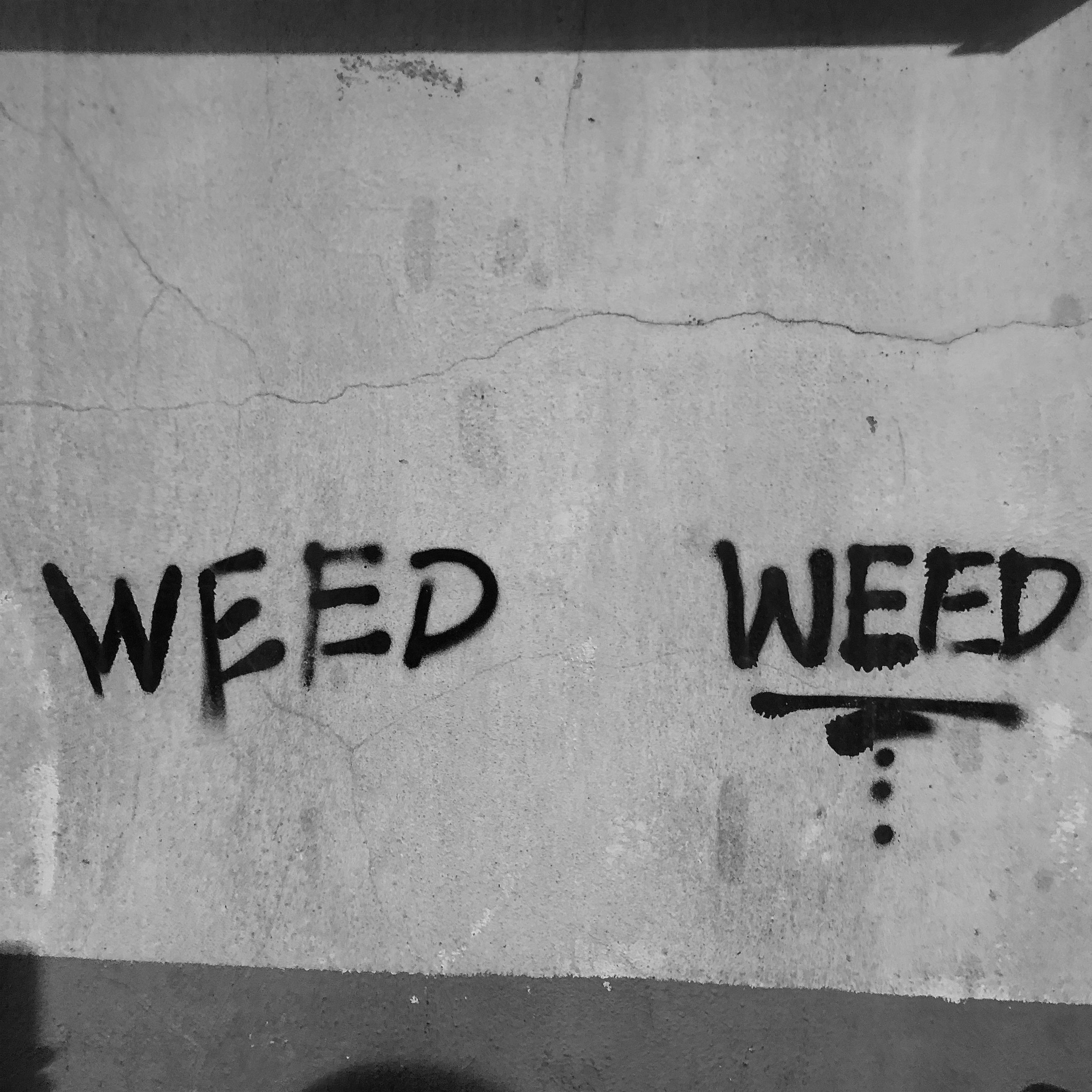 WEED