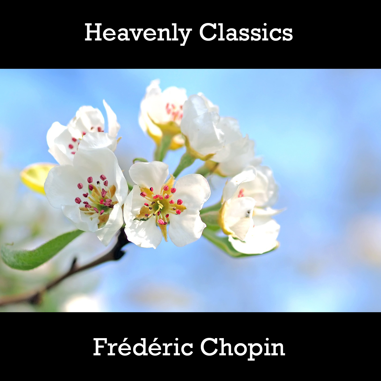 Heavenly Classics Frédéric Chopin