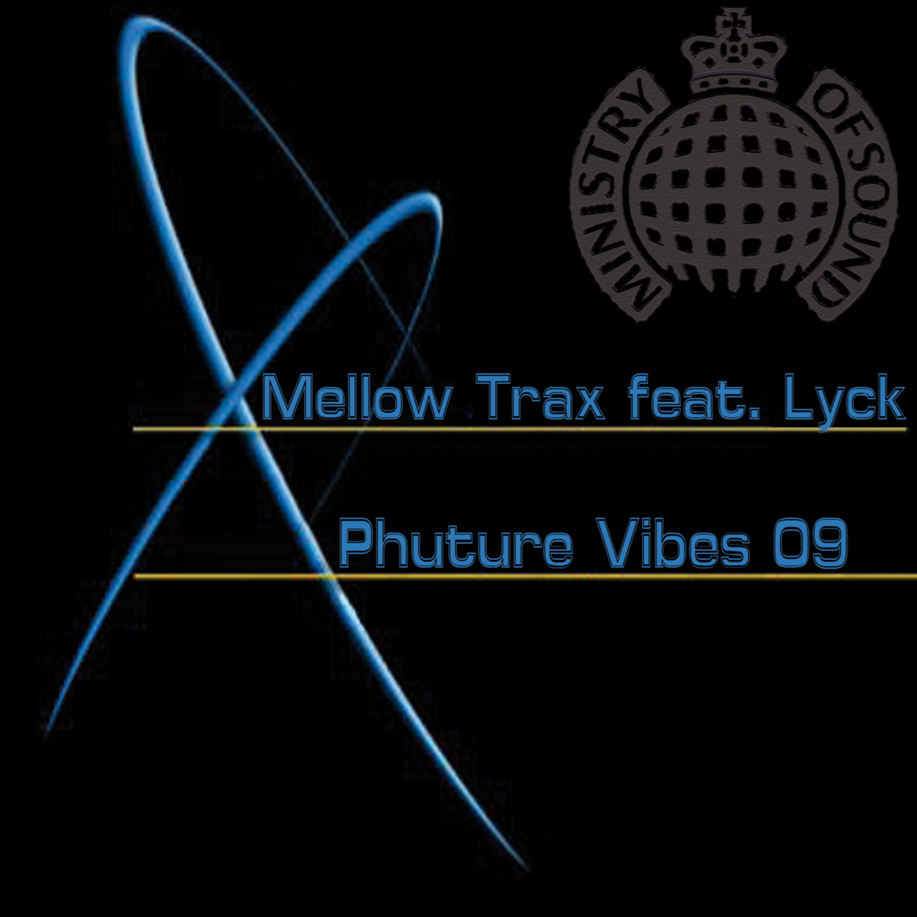 Phuture Vibes 09 (DJ DLG Dub Remix)