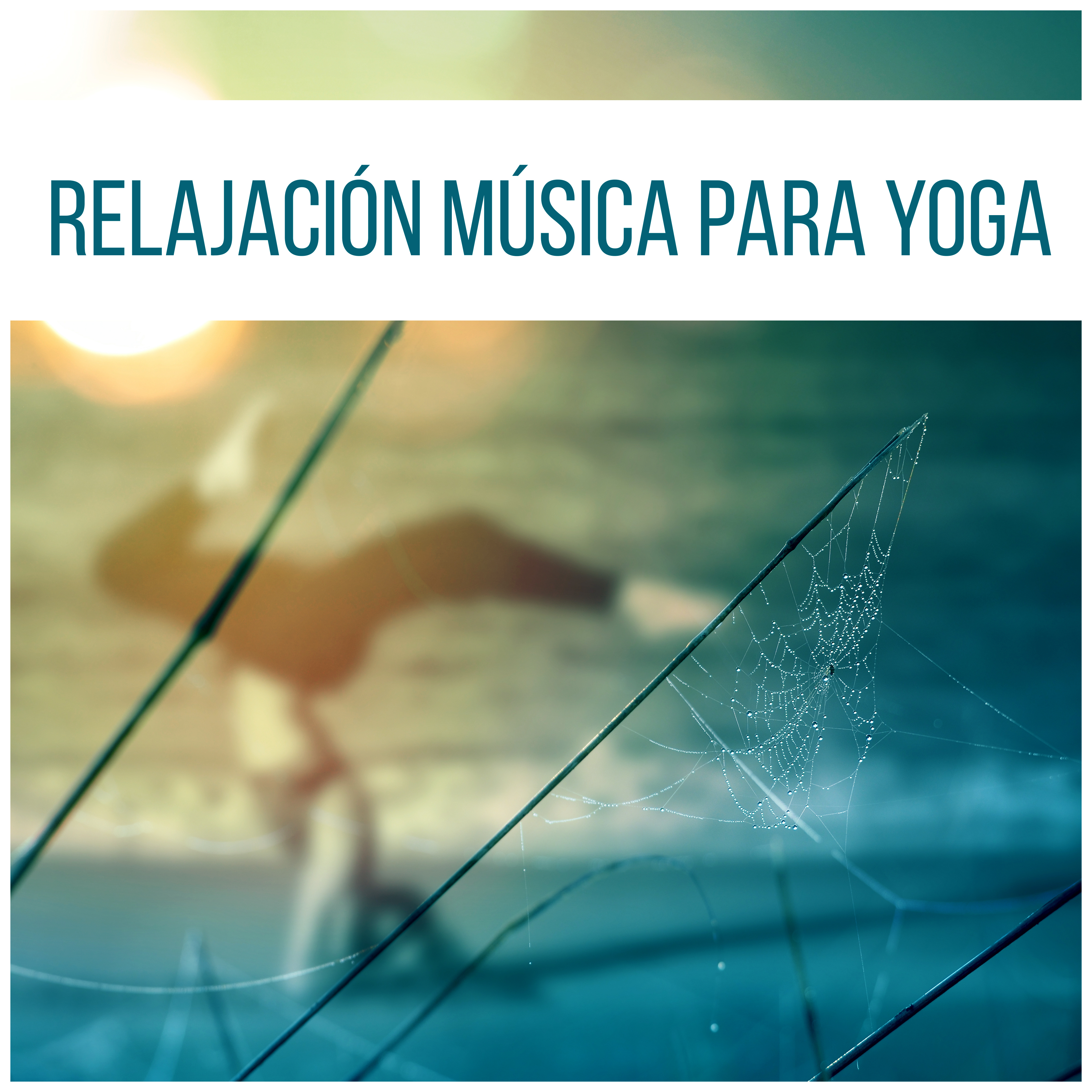 Relajación Música para Yoga – Sonidos Suaves de la Naturaleza, la Música para la Meditación, Chakra, Zen