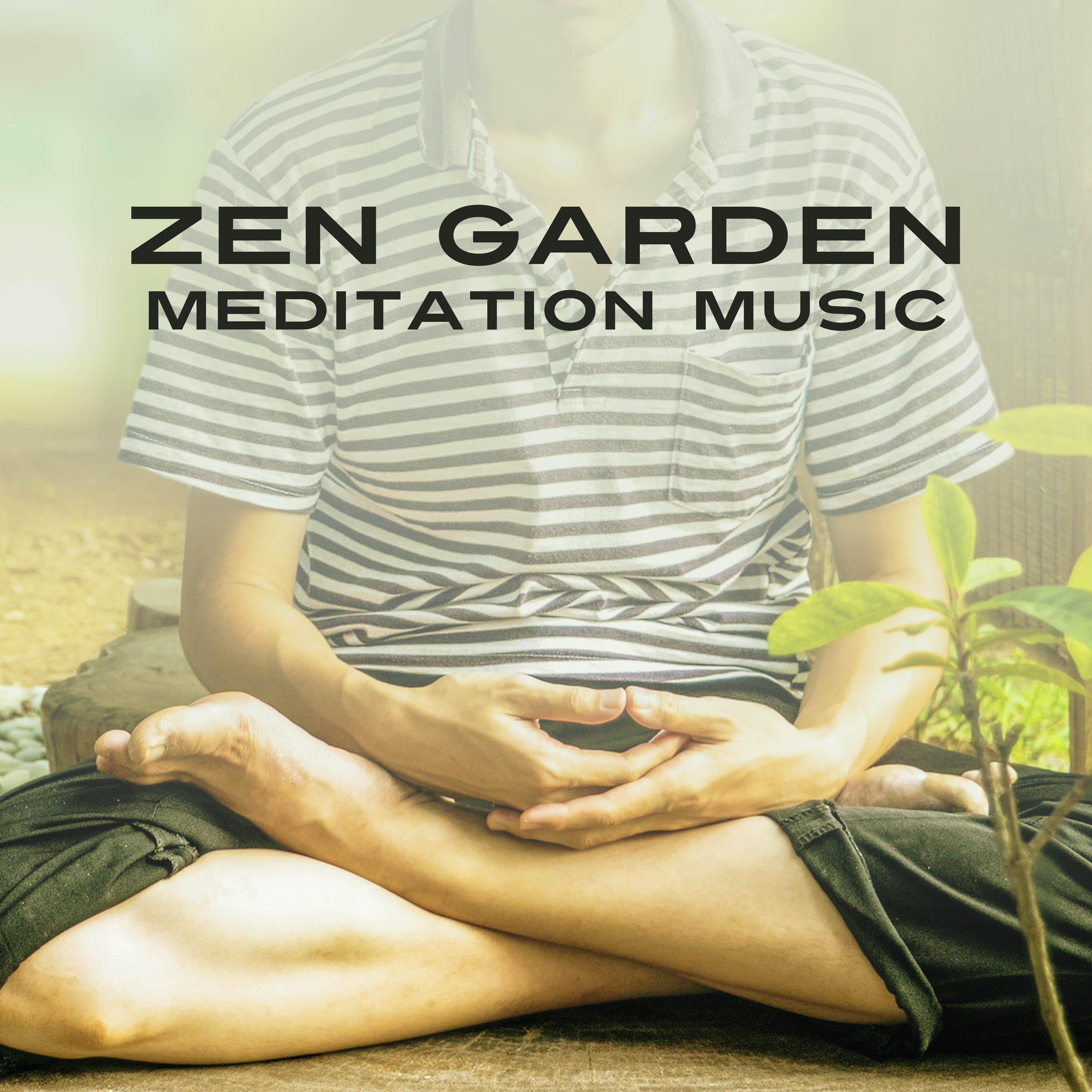 Zen Garden Meditation Music – New Age Songs for Meditate, Healing Relaxation Music, Yoga on the Morning