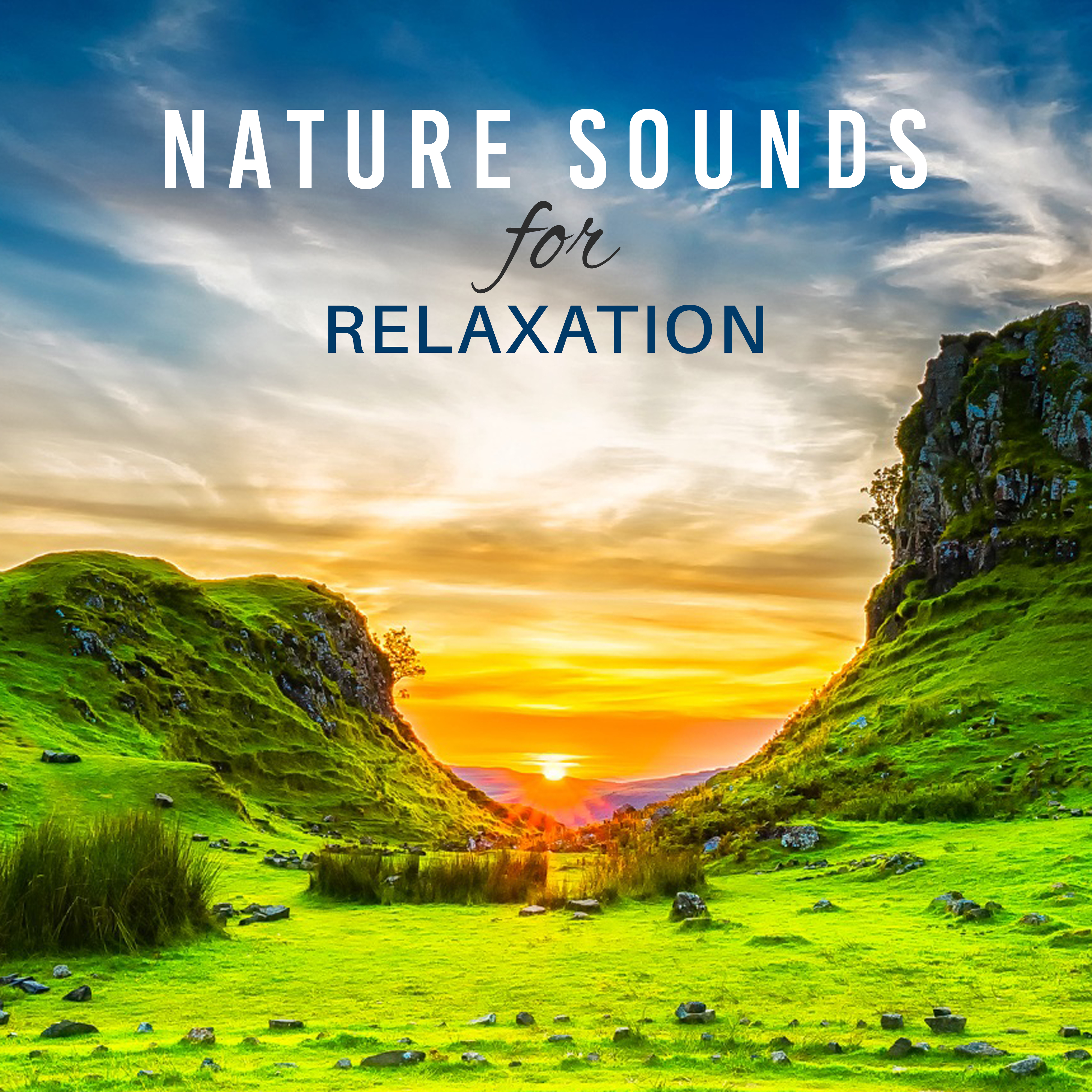Nature Sounds for Relaxation – Soft Music to Rest, Deep Sleep, Pure Mind, Relax, Meditation, Soothing Rain, Gentle Wind