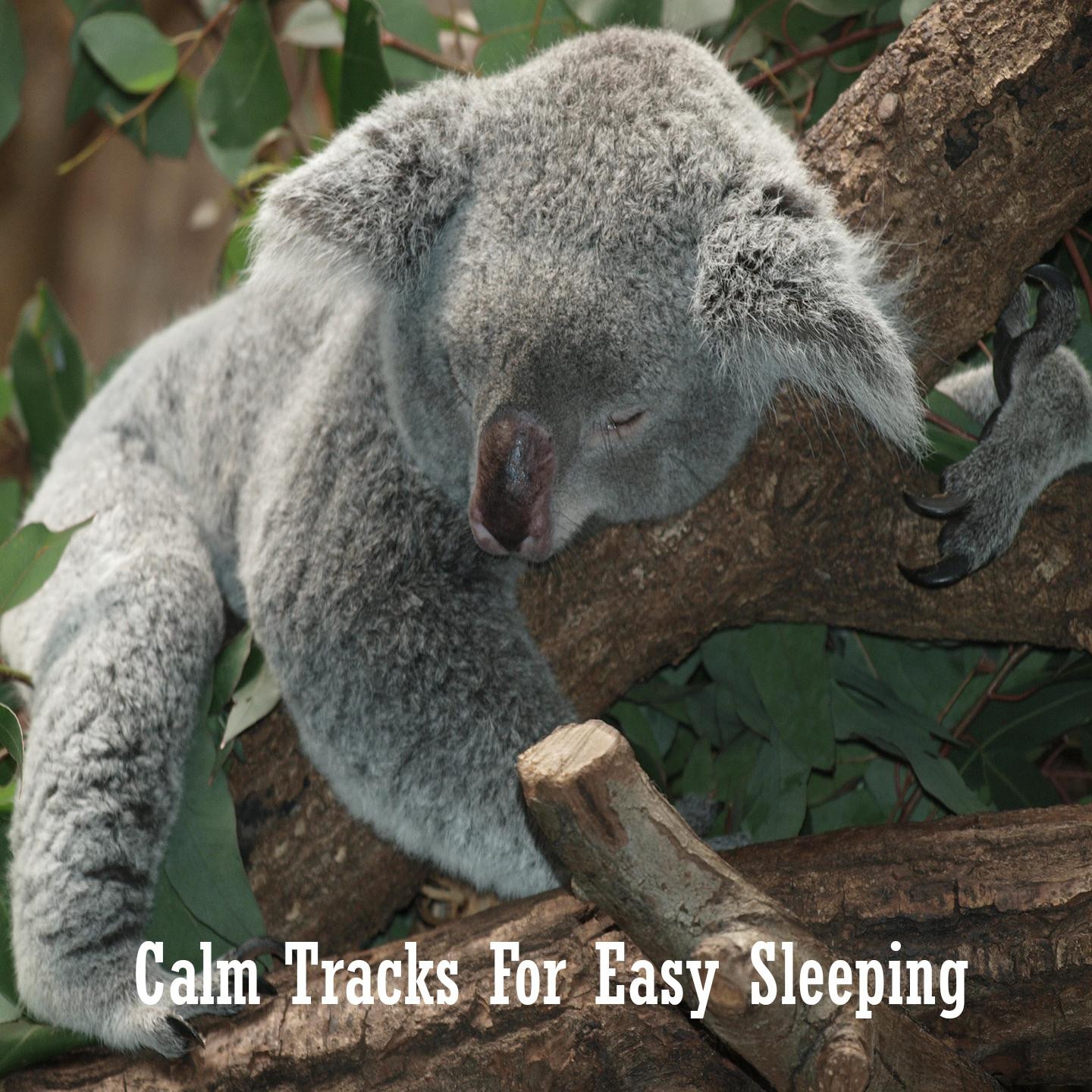 Calm Tracks For Easy Sleeping