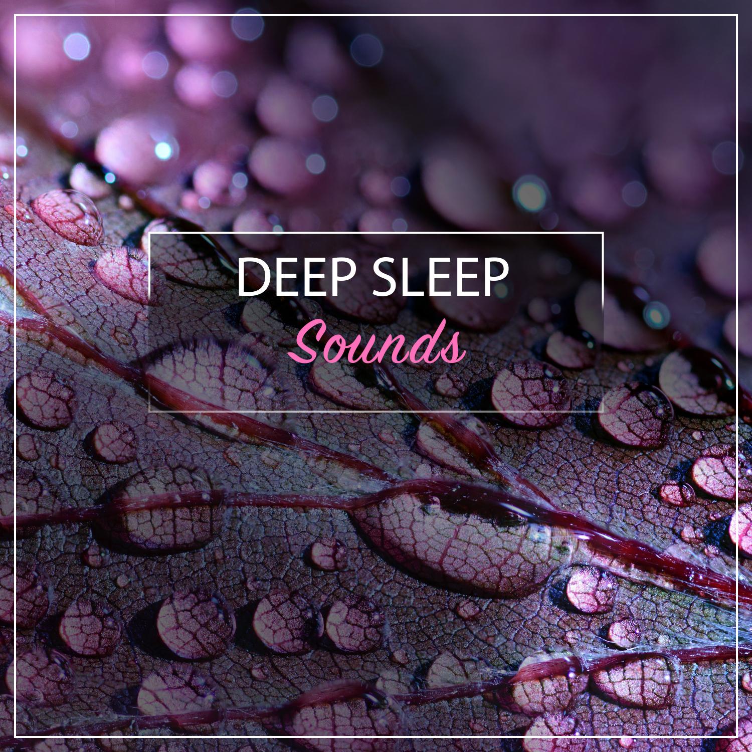 13 Sounds for Deep Sleep - Natural Rain