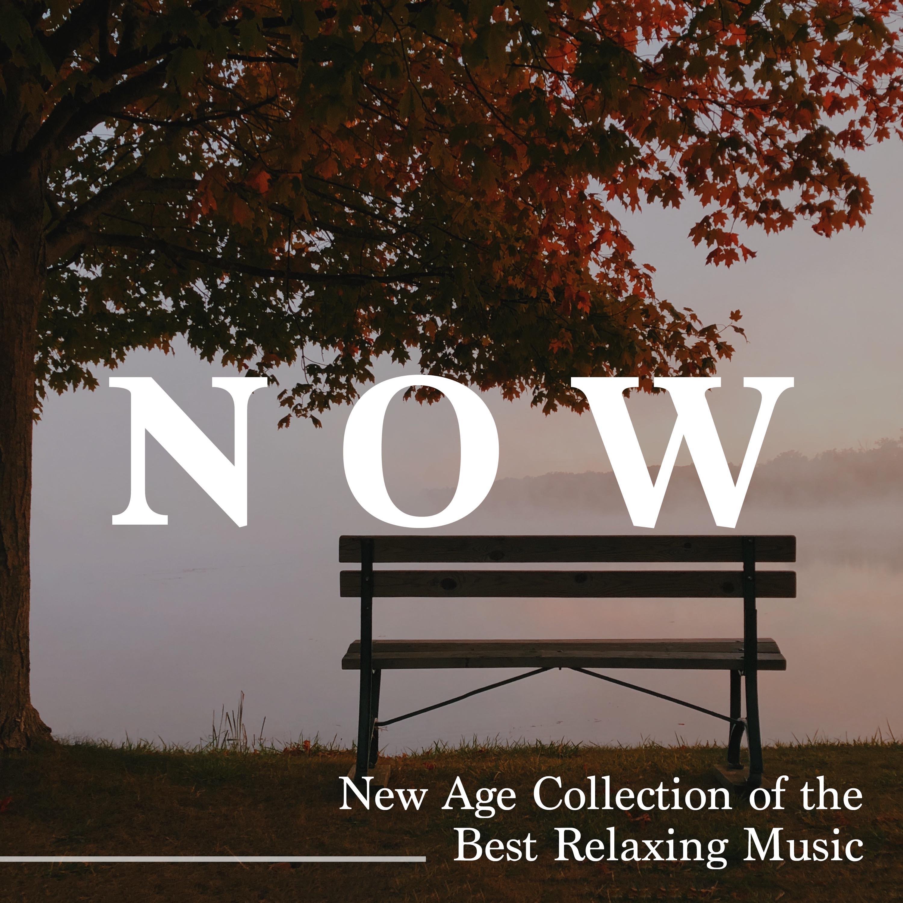 Now - New Age Collection of the Best Relaxing Music, Feel at Home Now, Nature Sounds and Piano Melodies