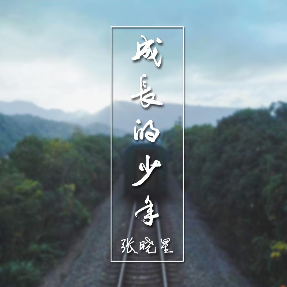 成长的少年（伴奏）