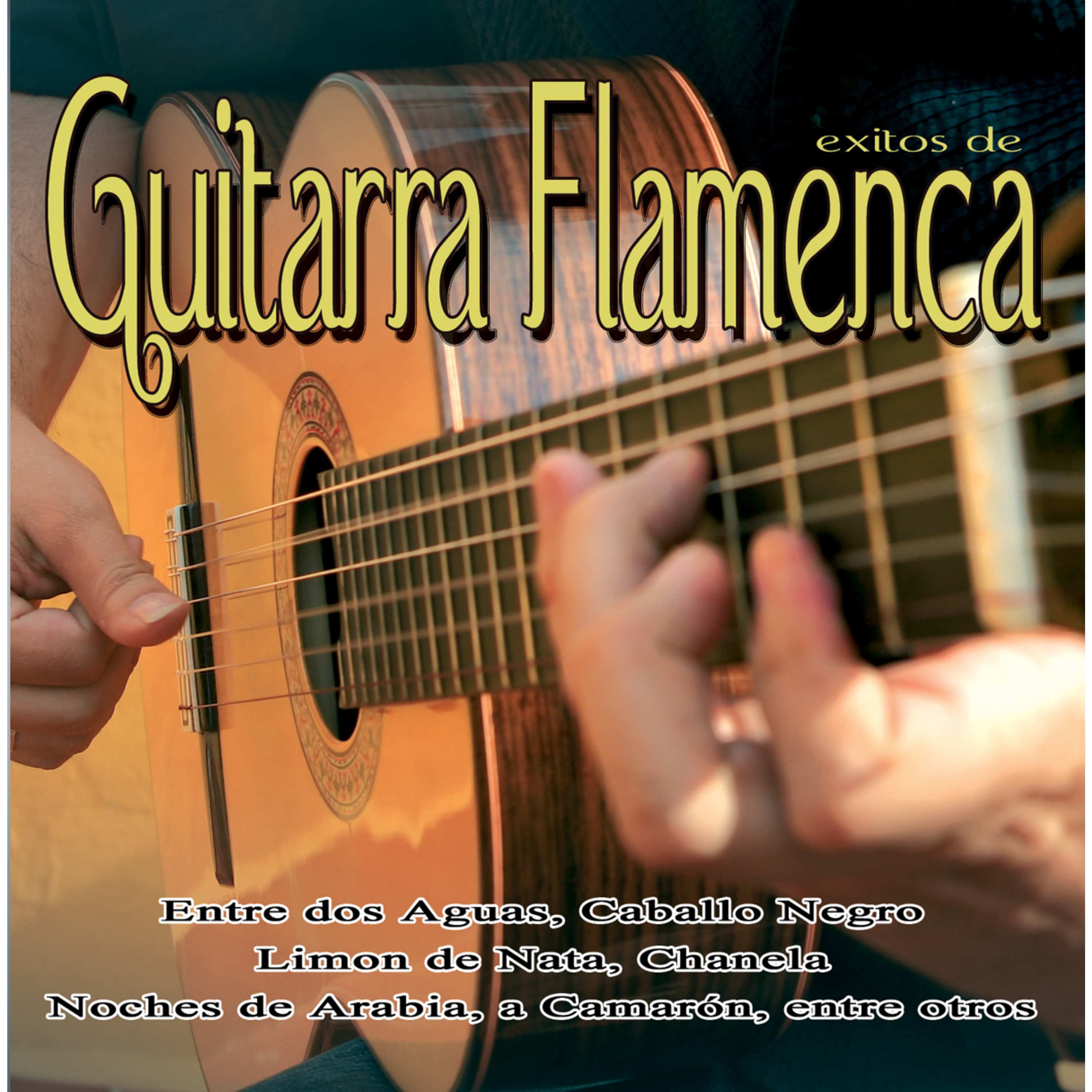 Guitarra Flamenca