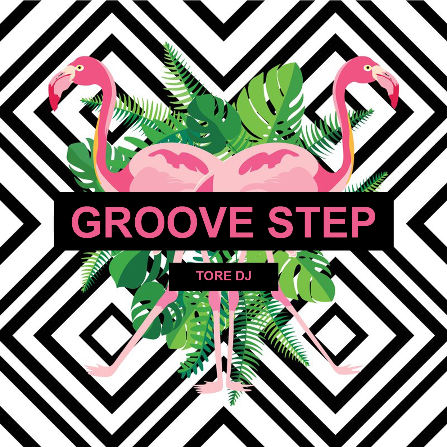 Groove Step (Extended Mix)