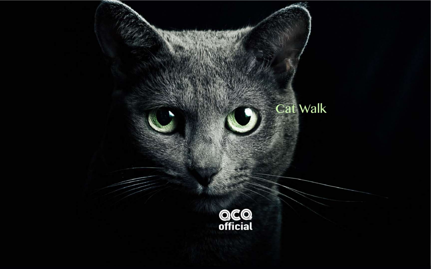 .Dot.-Cat Walk（QCQ official Remix）