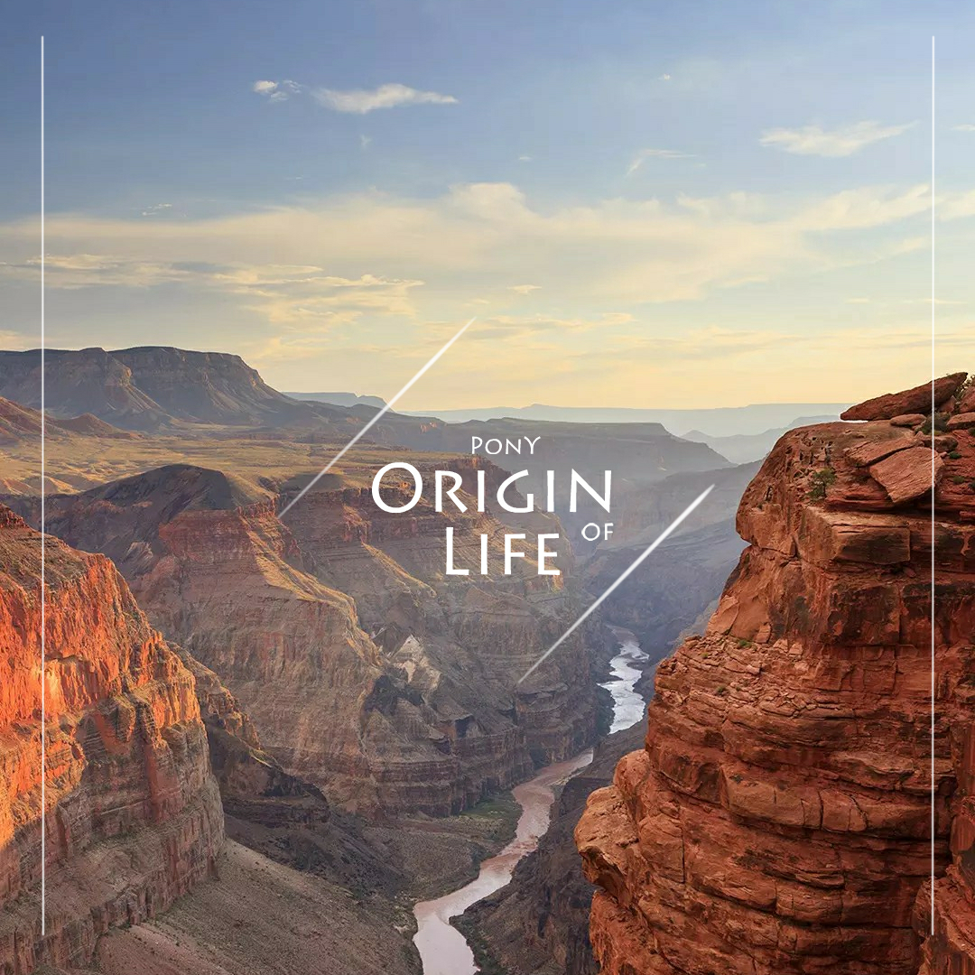 Origin of life