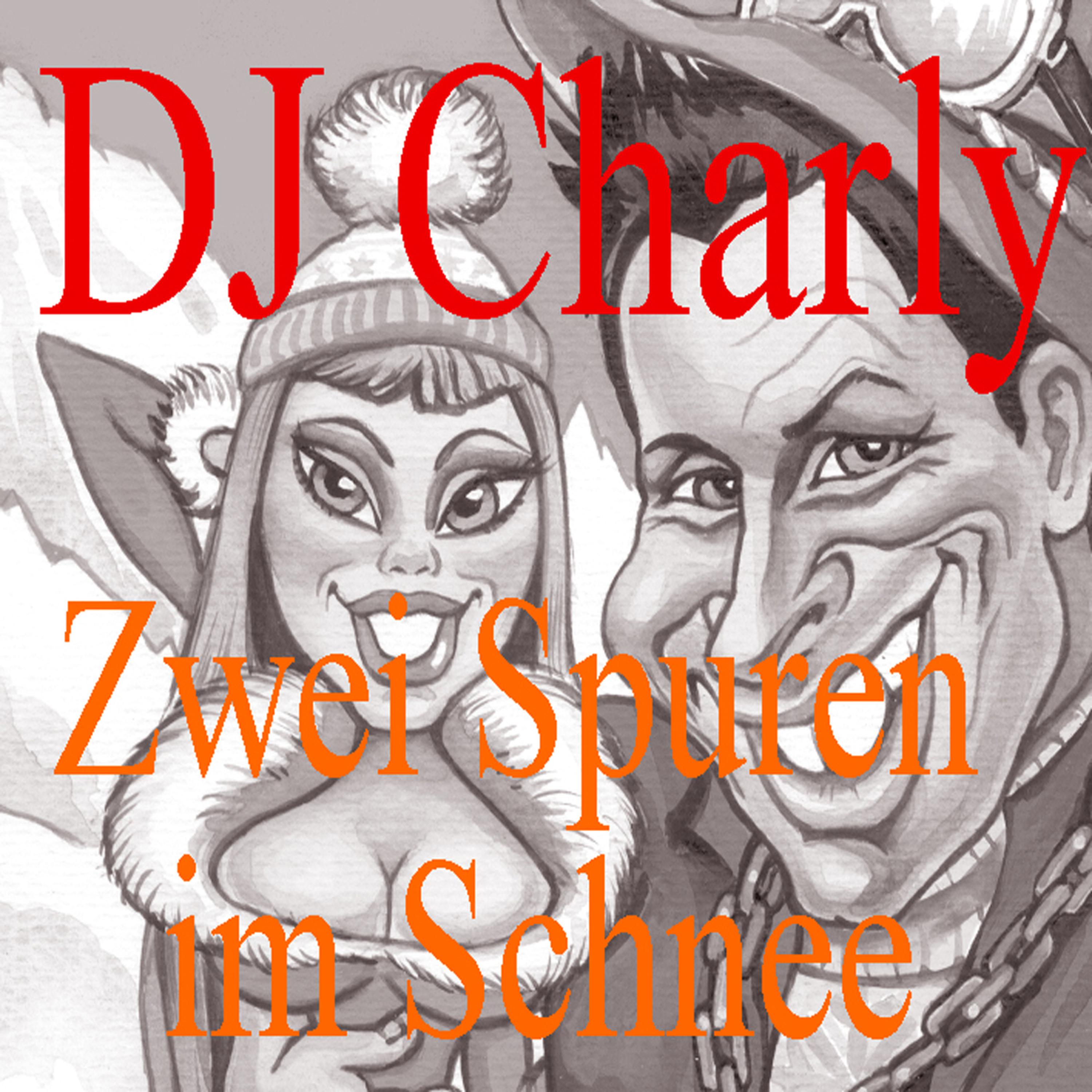 Zwei Spuren im Schnee (DJ Version)