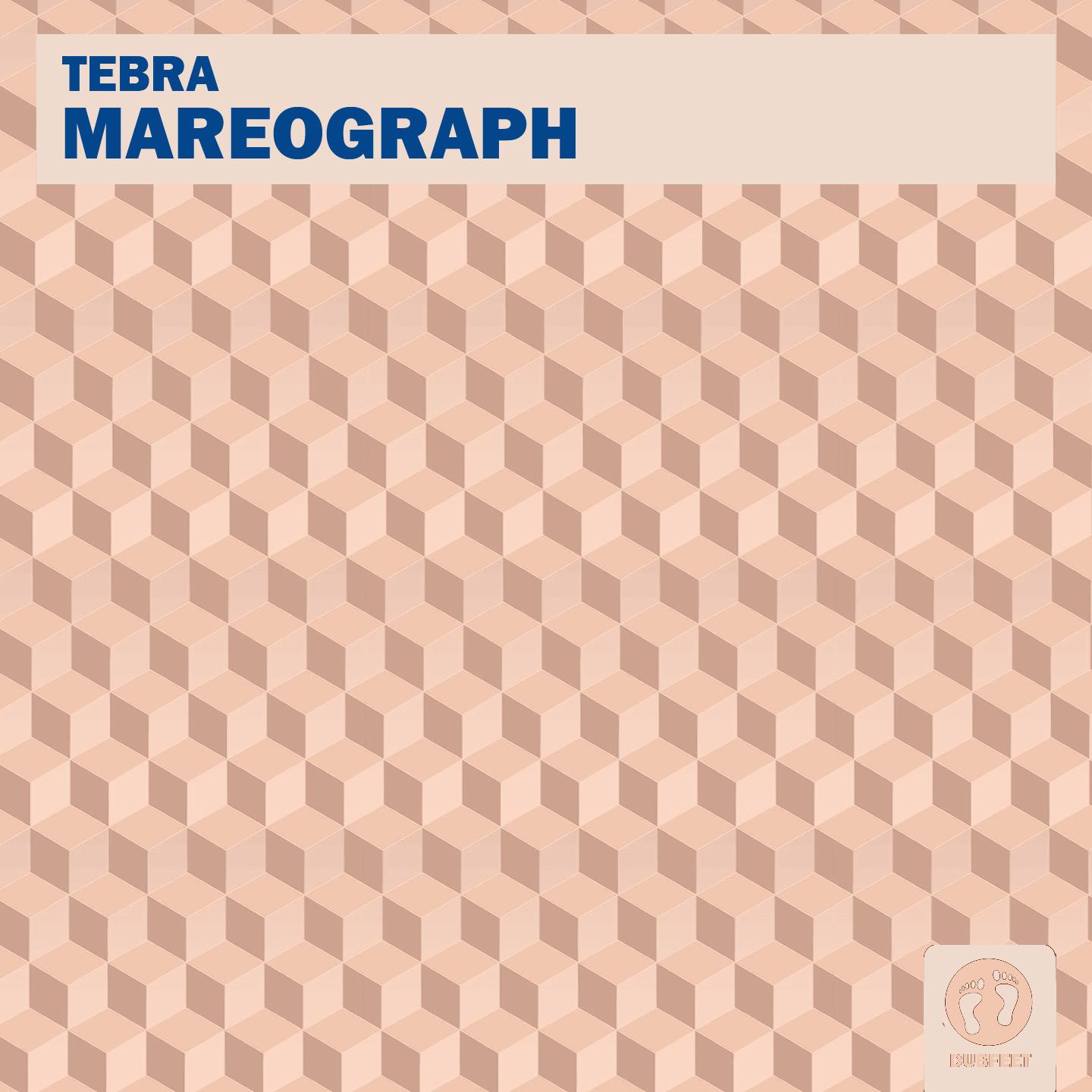 Mareograph